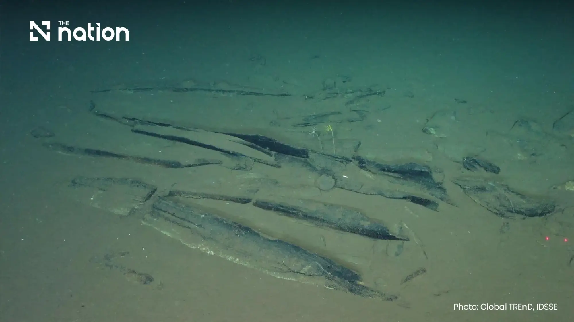 Oldest whale graveyard holds 5.3m-year-old fossils in Indian Ocean