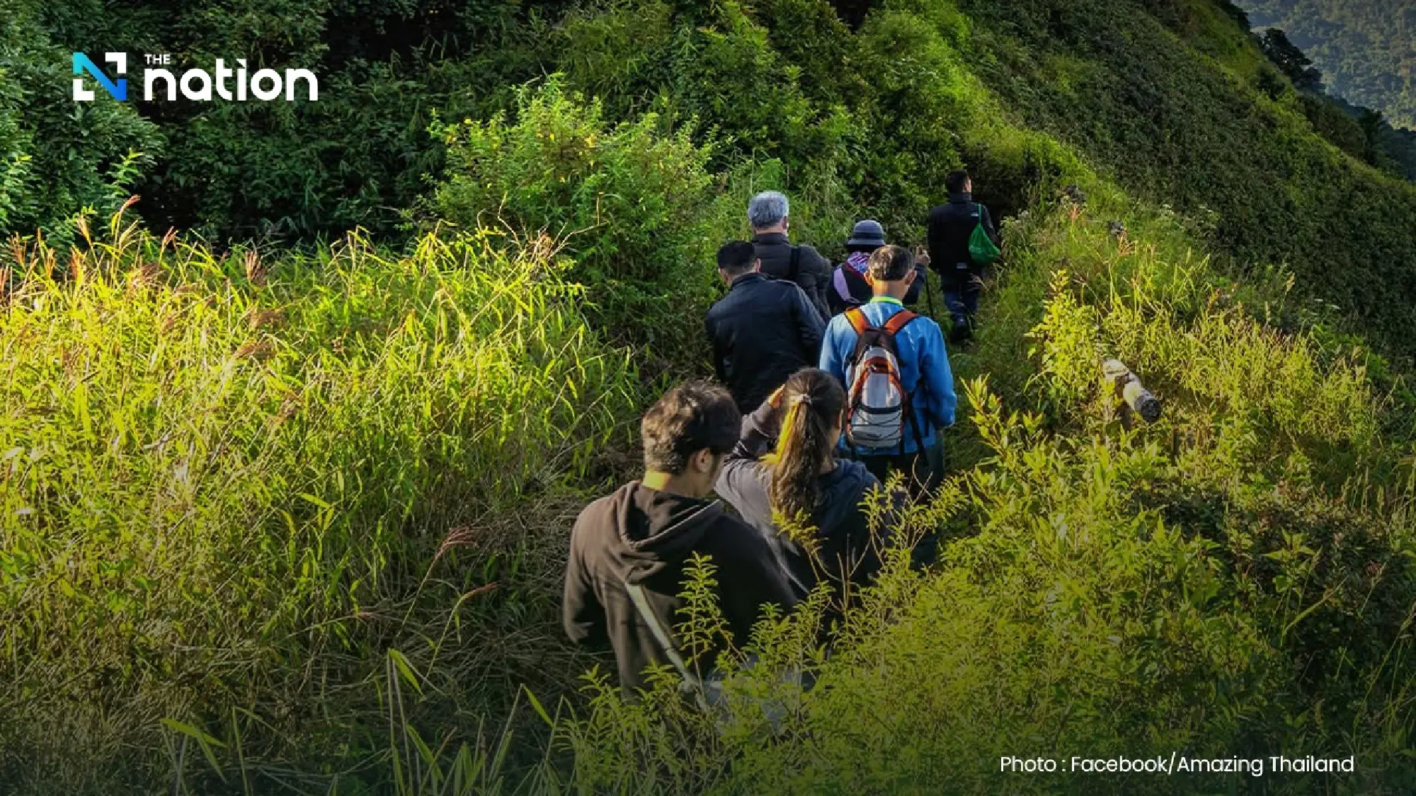 TAT launches WILD AWAKE JOURNEY to promote green-season conservation travel