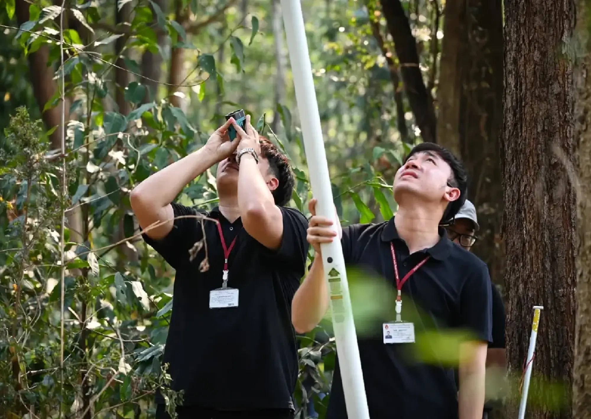 Forest Carbon Credit Initiative Bridges Thai Communities with Global Markets