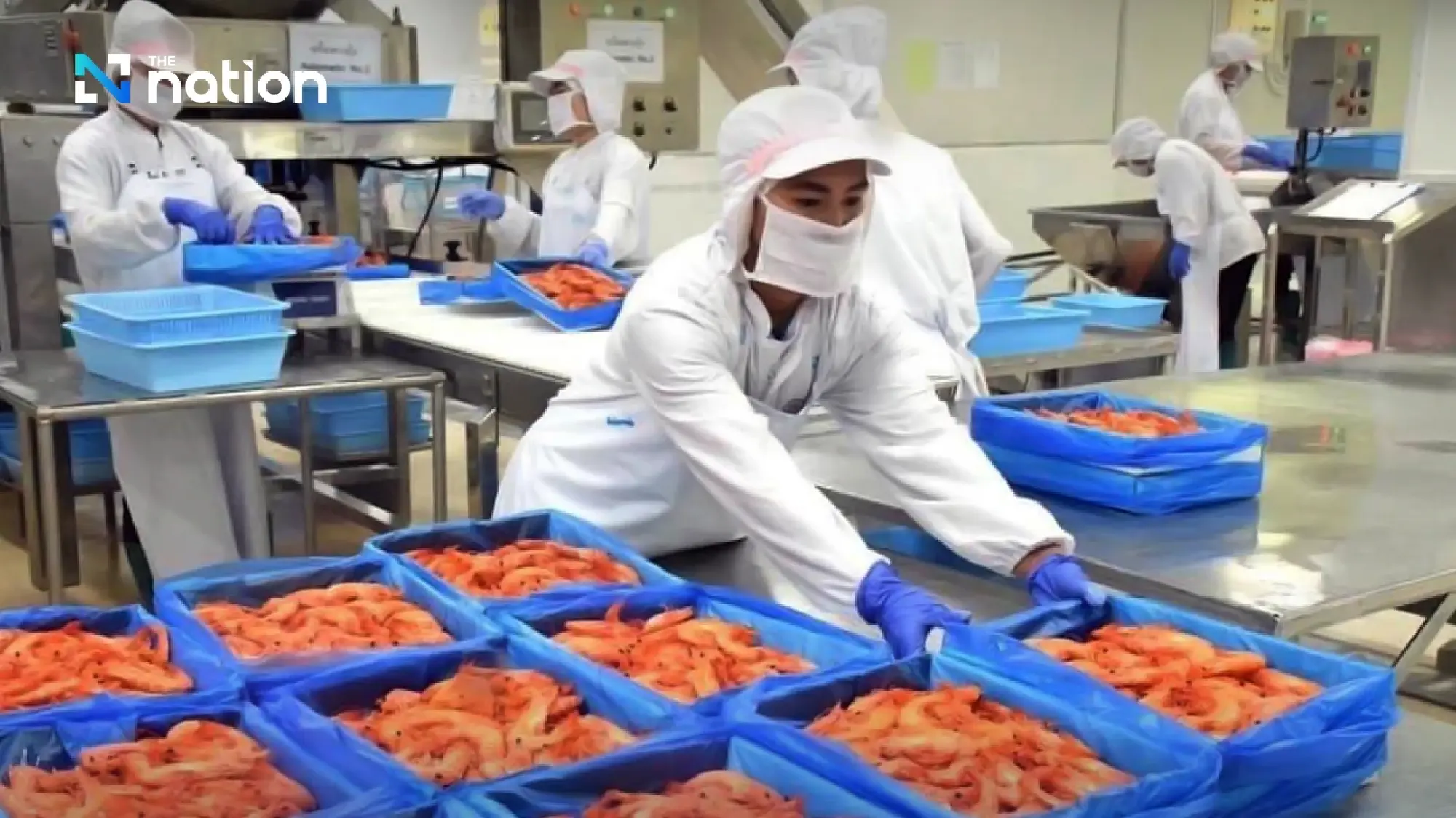 Malaysia shrimp ban pushes Thailand to seek premium markets