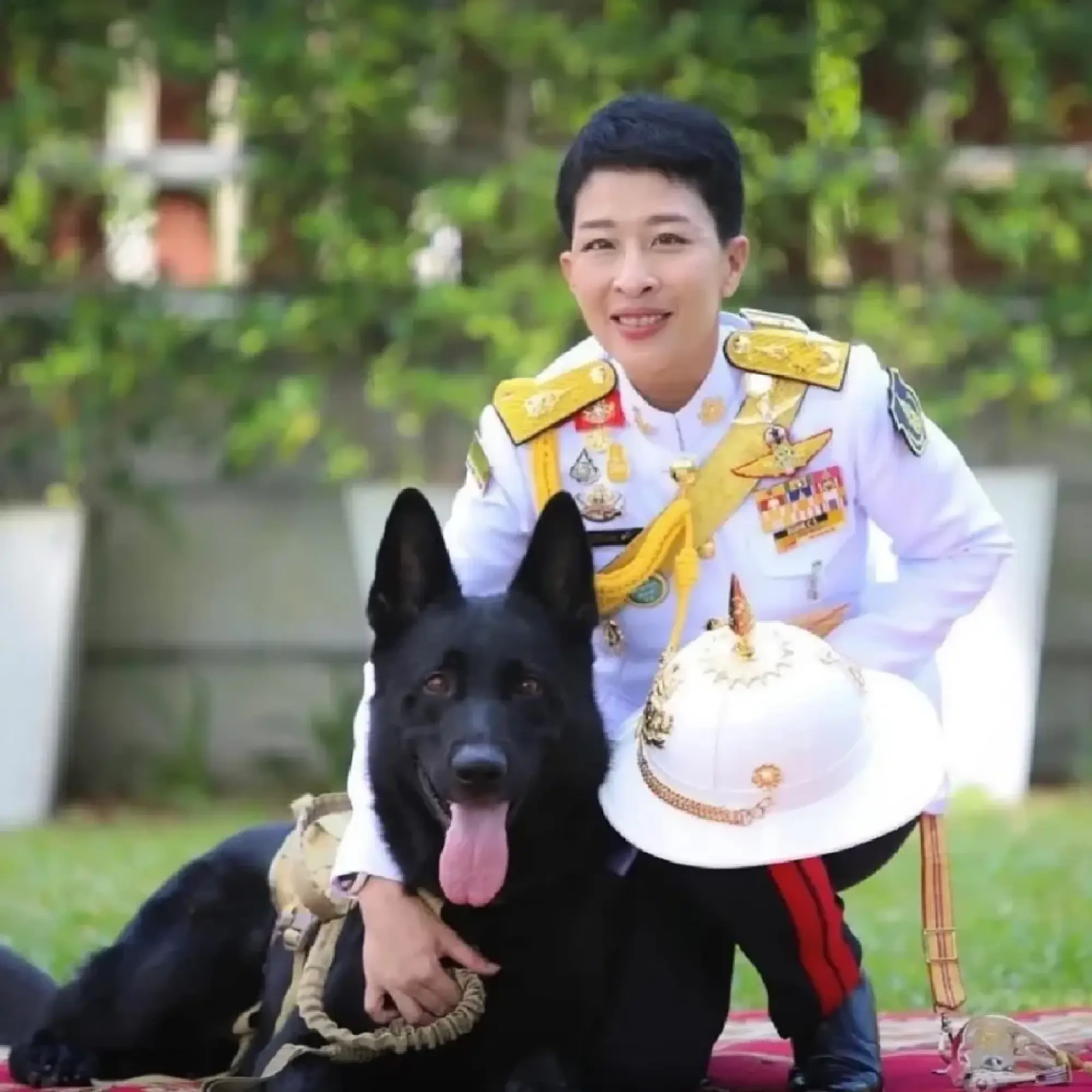 A Legacy of Limitless Grace: How Princess Bajrakitiyabha’s Royal Rescue Dogs Redefined Compassion