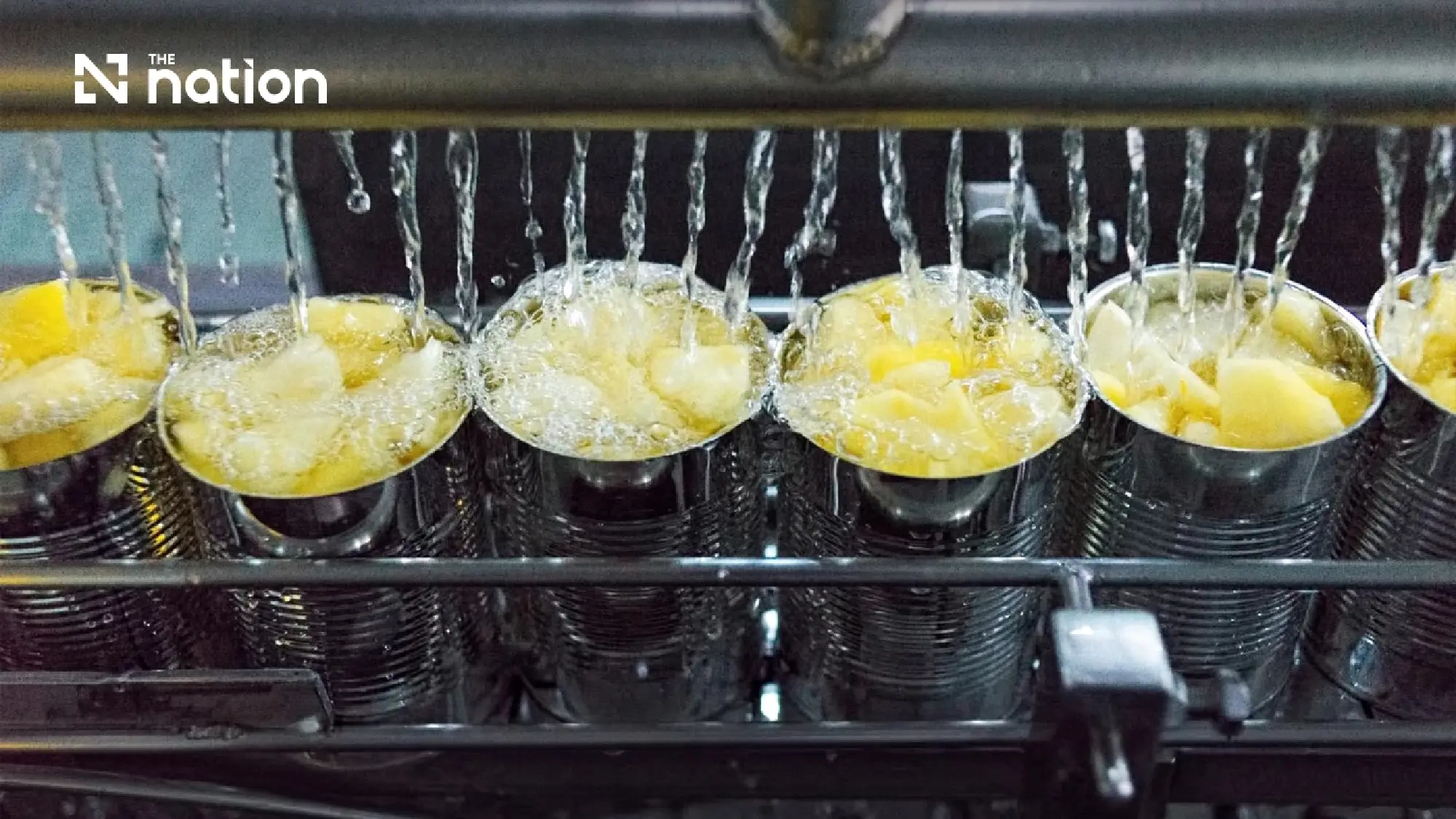 Thai canned pineapple exporters face five-year Mexico duty as Vietnam and China gain ground