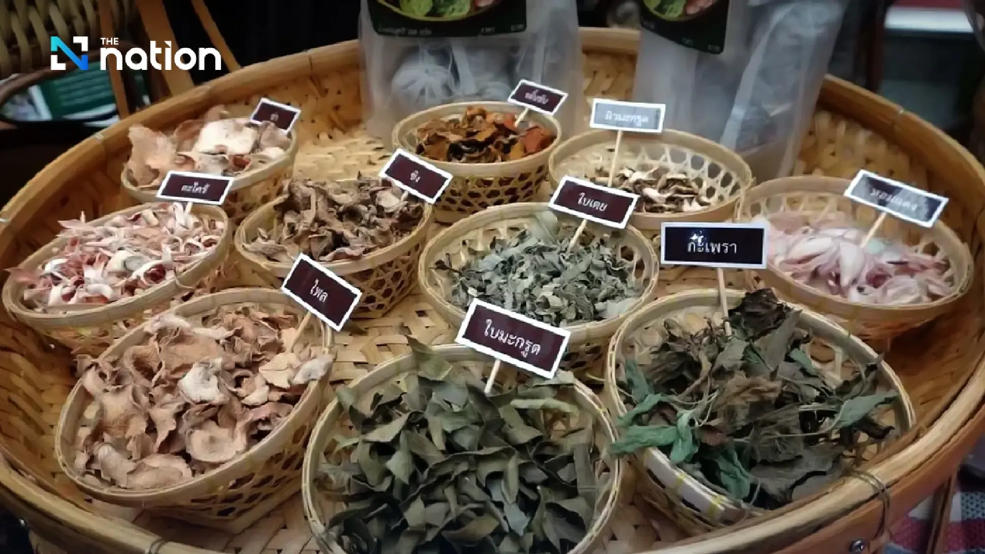 Nan’s 700-year herb texts signal Thailand’s high-value health future