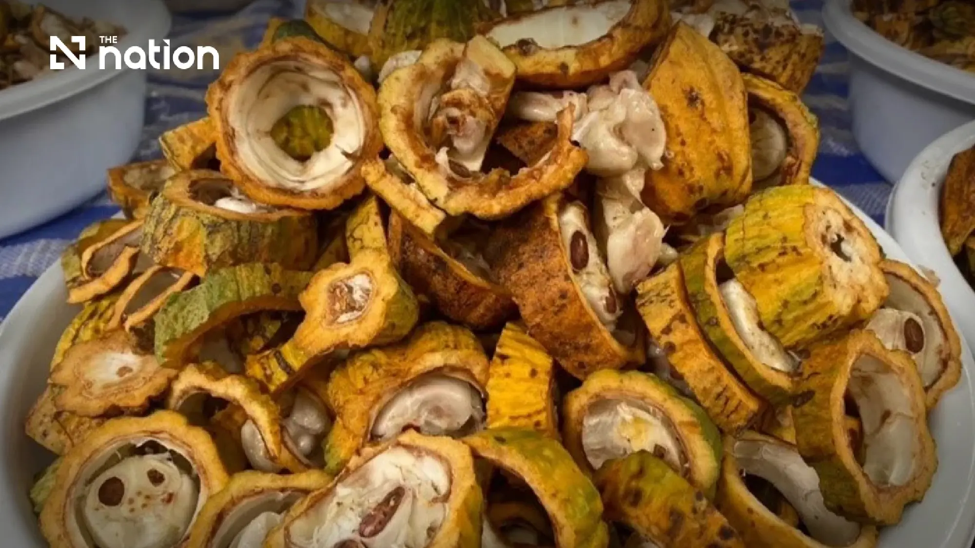 cocoa waste