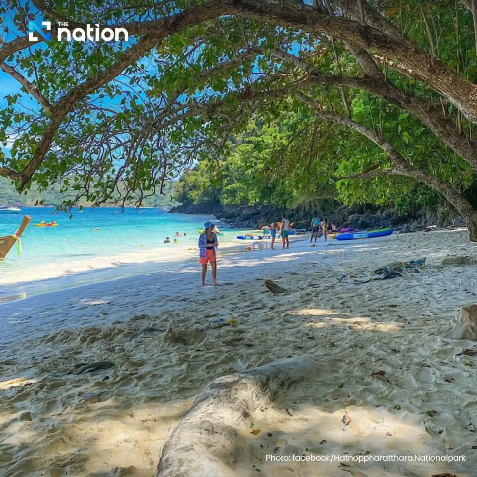 Krabi bans swimming after Portuguese man o’ war found