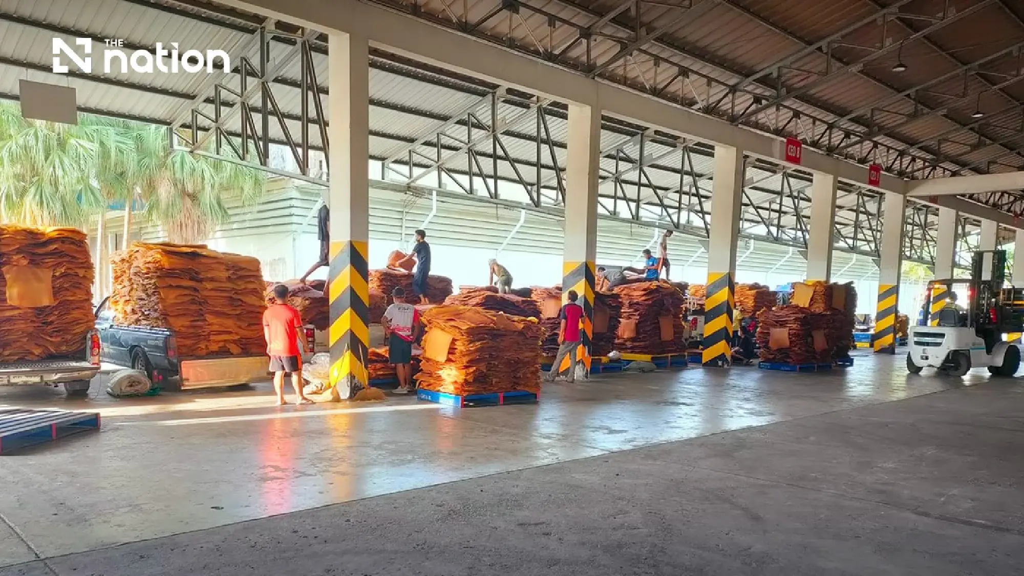 Thailand’s low-risk EUDR status gives Thai rubber a competitive edge