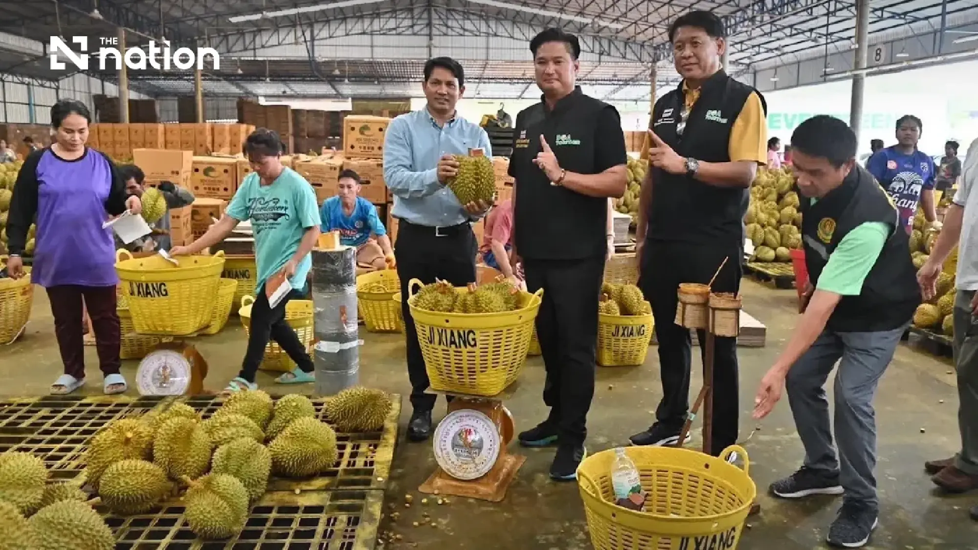 Thai fresh durian exports to China exceed THB100bn in first half