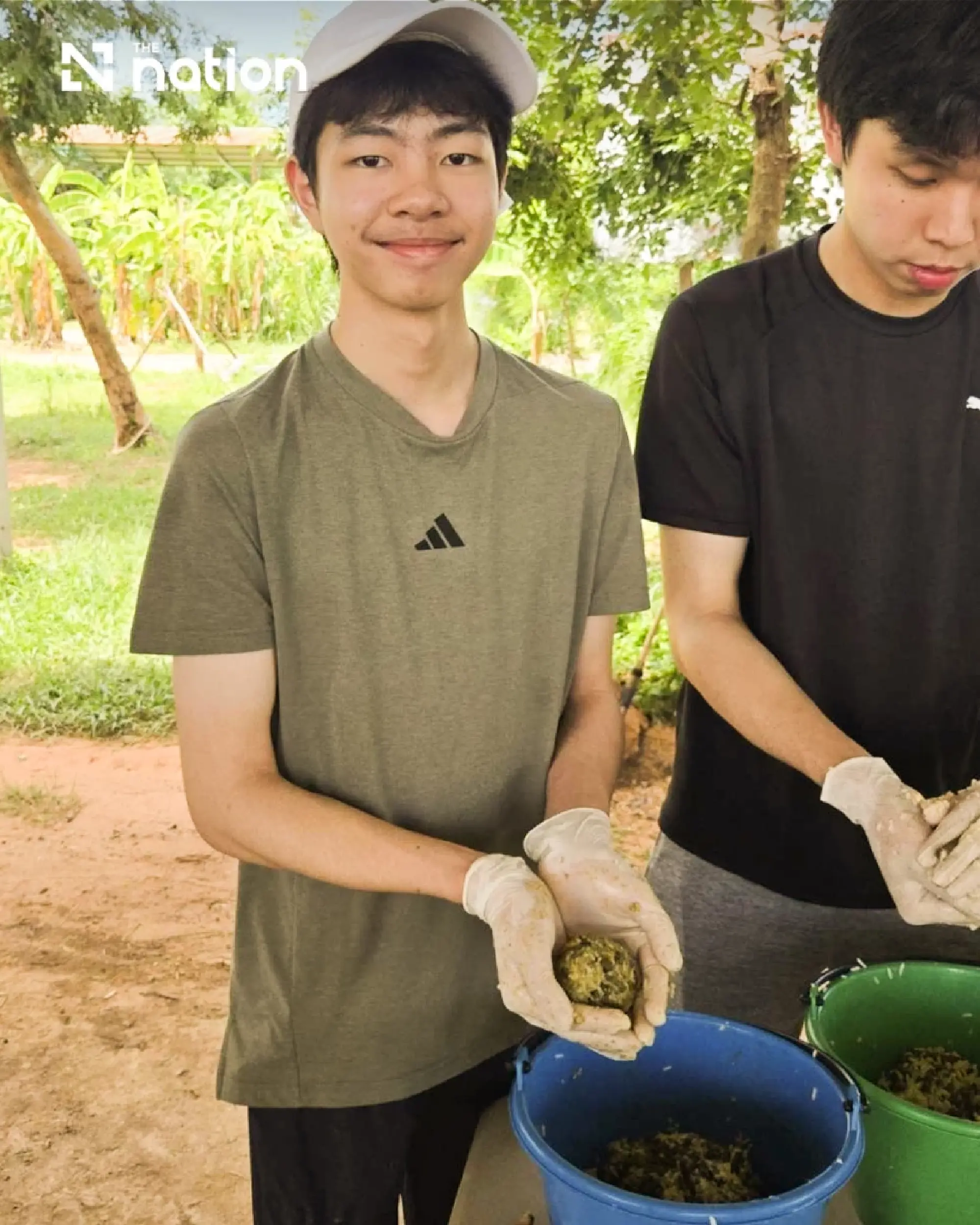 Saving Surin's Elephants, One Herbal Block at a Time