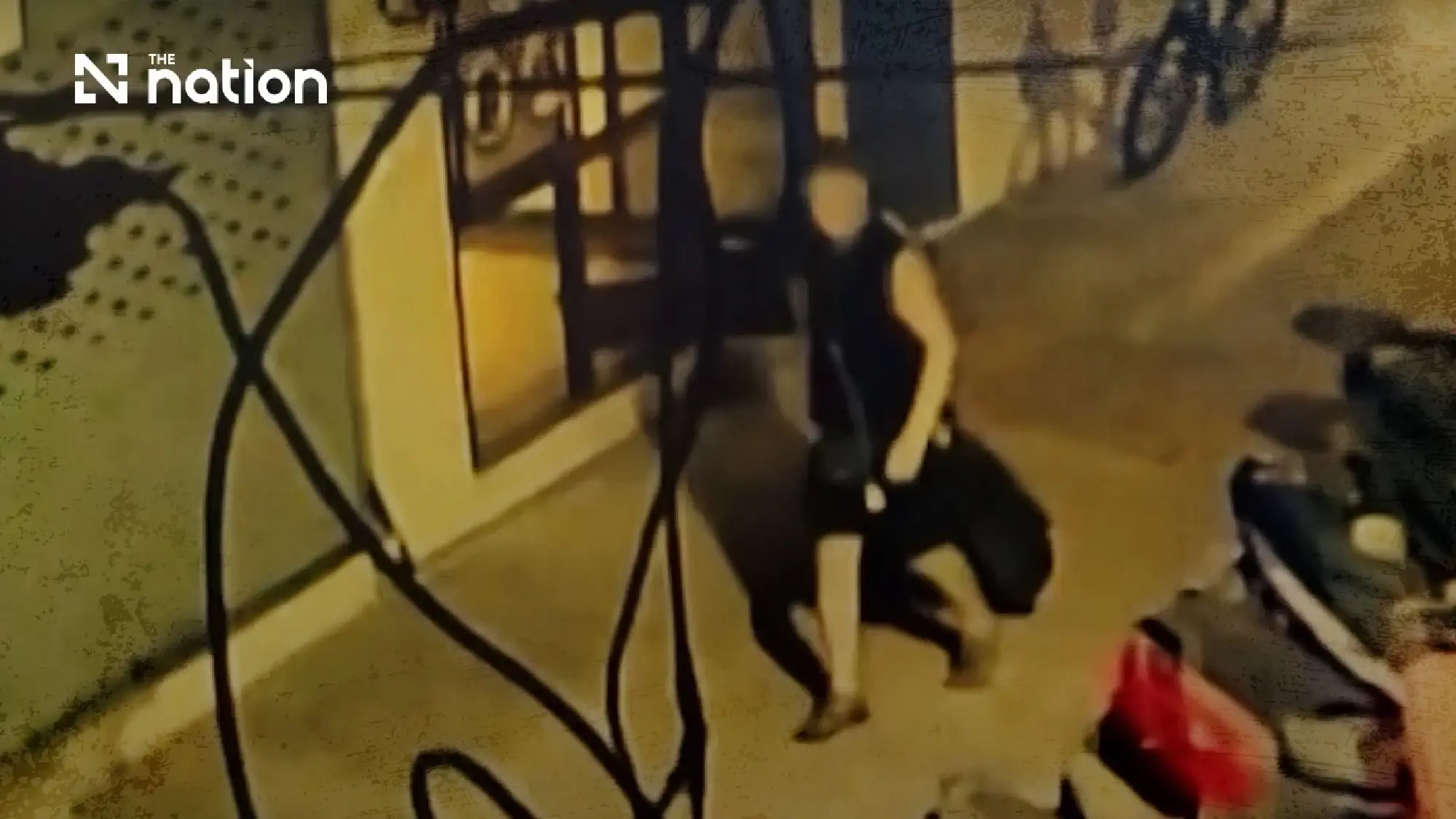 How SWING fights for Thailand's shadow workers