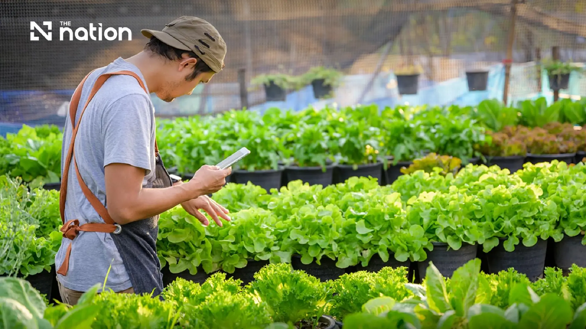 CP Group's Circular Loop: How Thailand's Biggest Conglomerate Is Closing the Agricultural Waste Gap