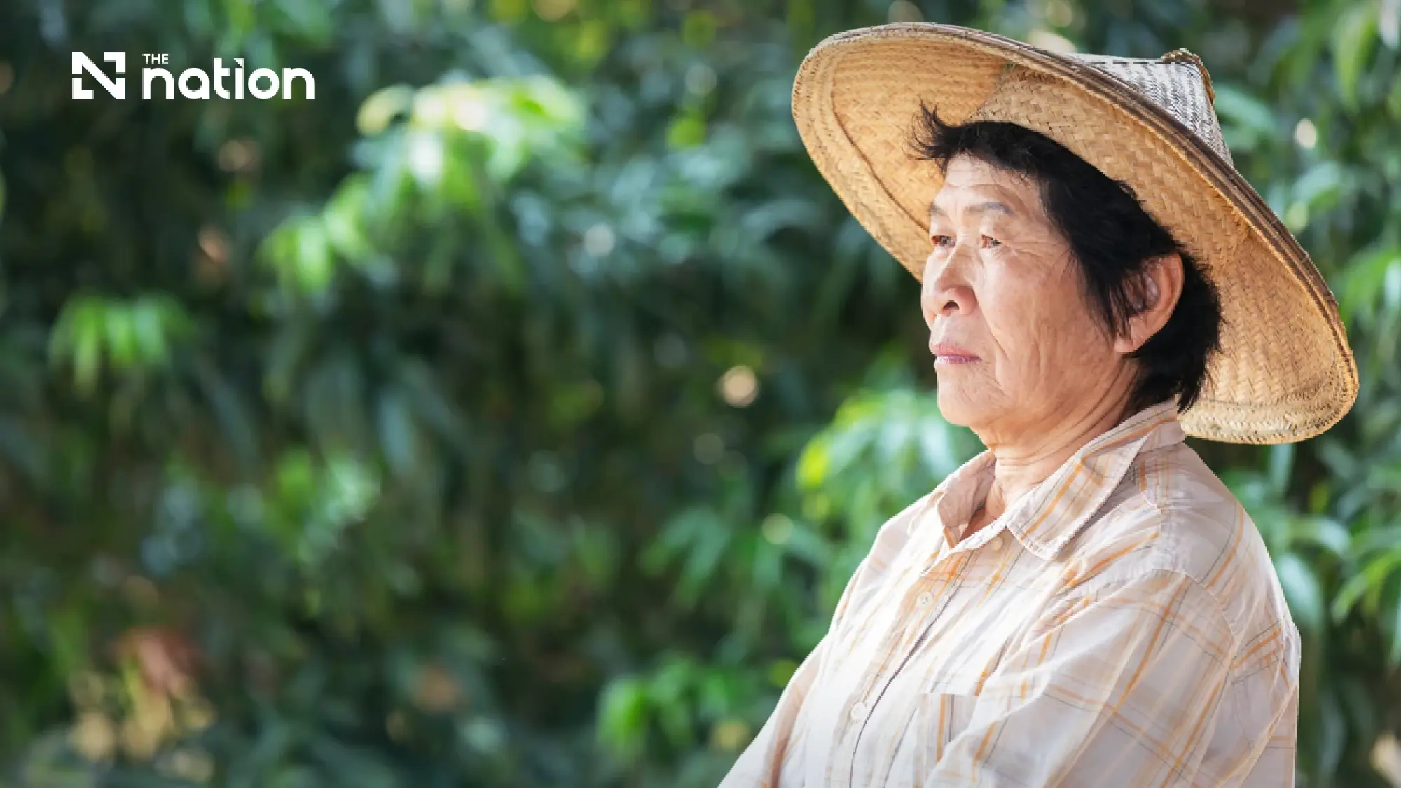 Poll finds most older respondents say Thai welfare is inadequate