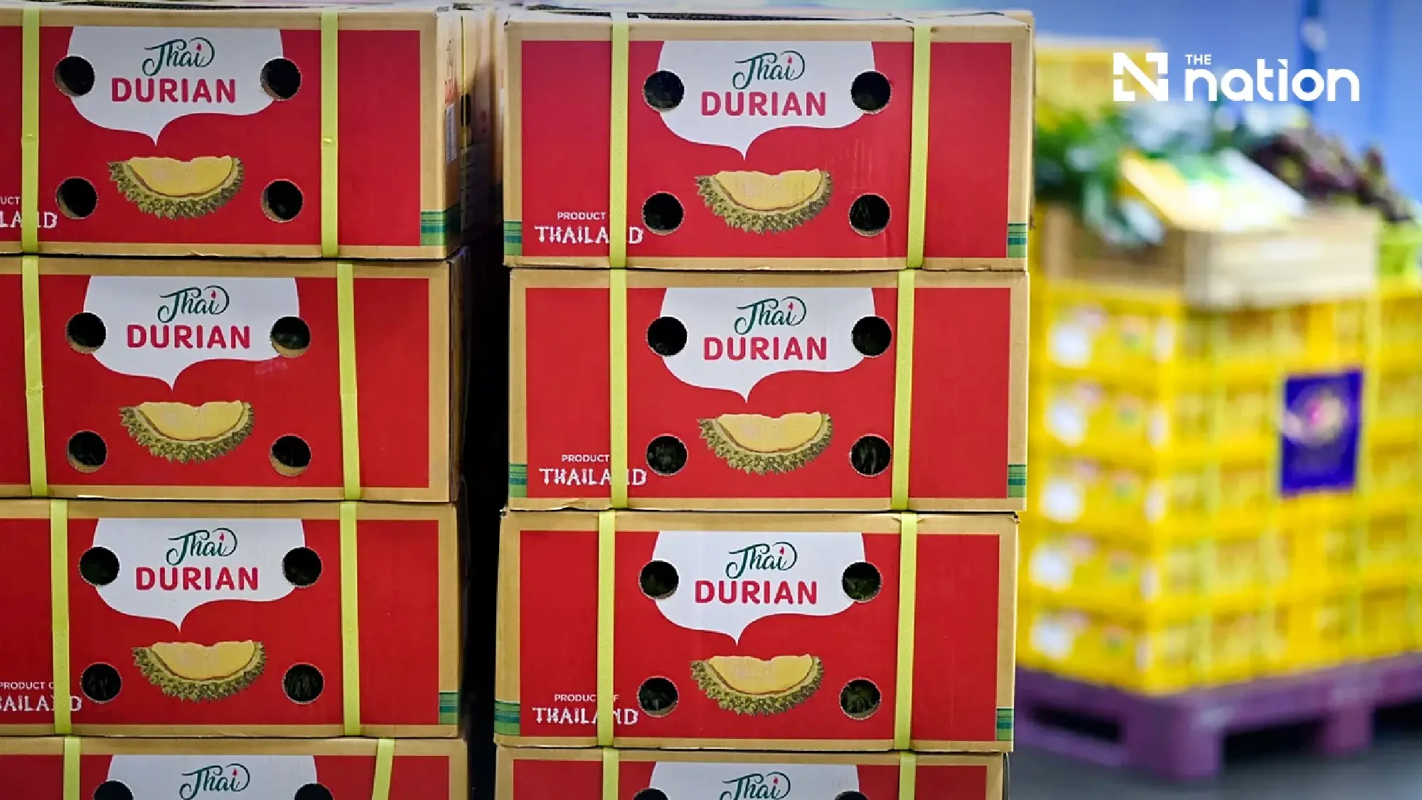 Thailand’s durian exports to China pass one-million-tonne mark