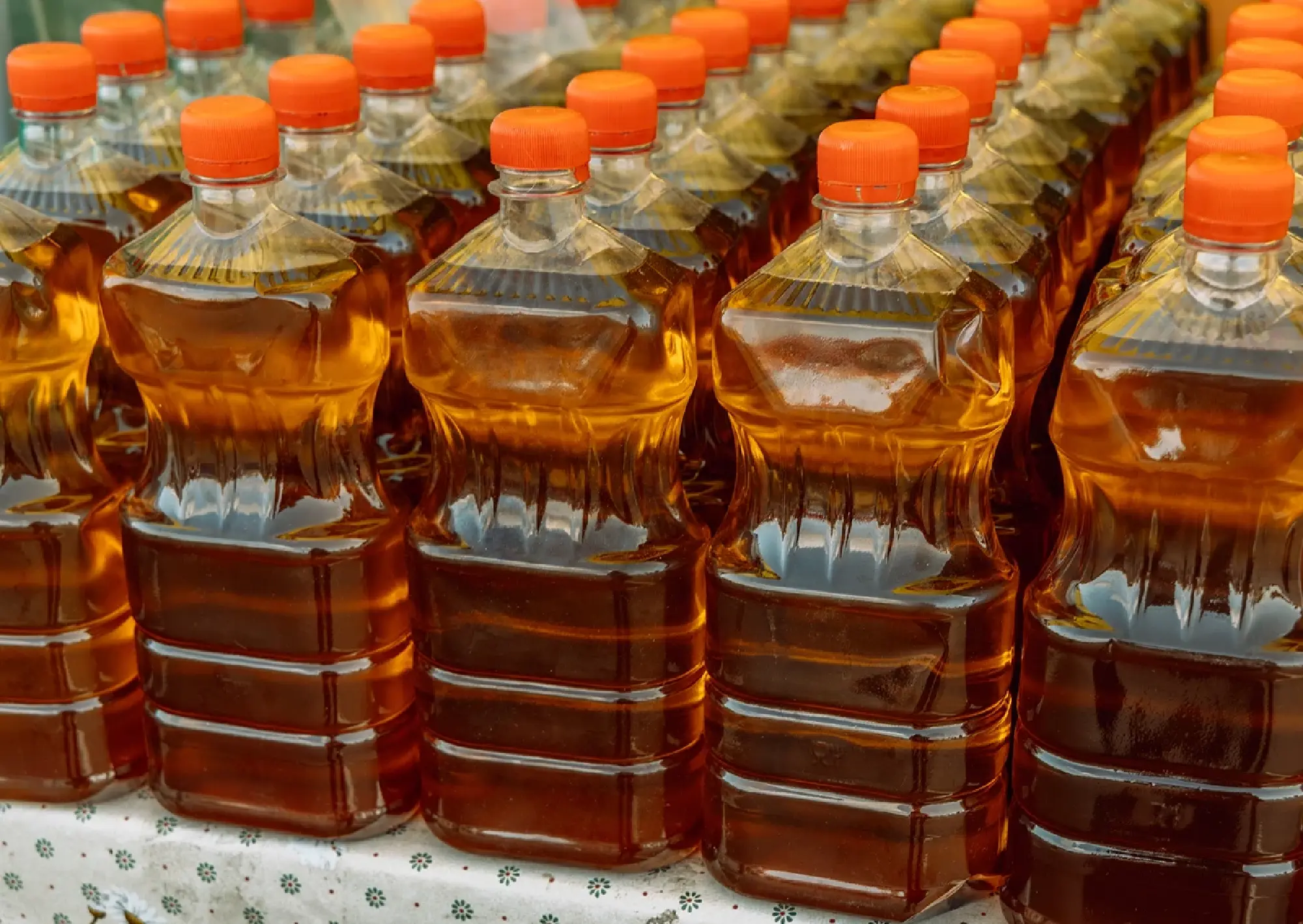 Used Cooking Oil Fuels Thailand’s Sustainable Aviation Shift