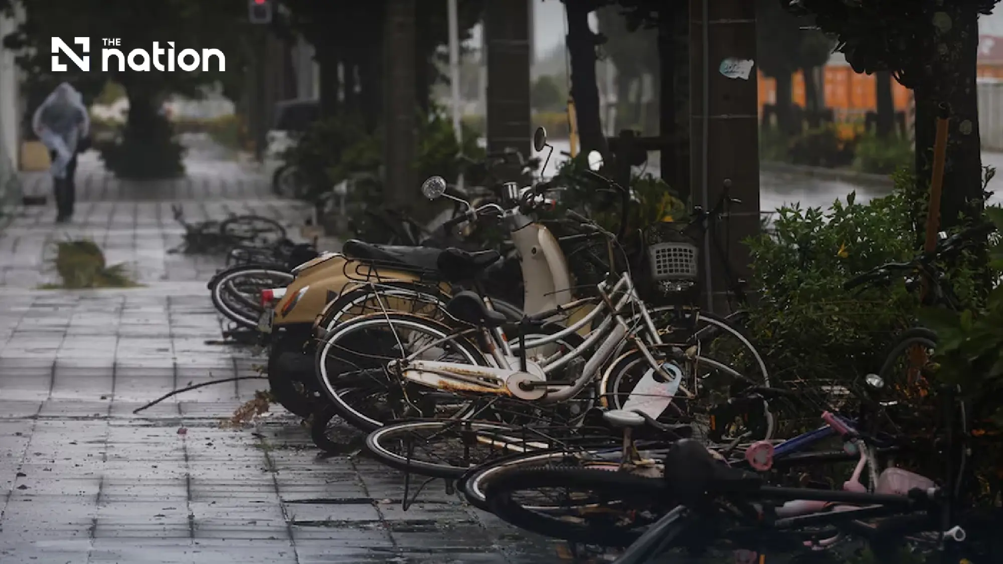Typhoon Bavi makes landfall in China as evacuations near 2 million