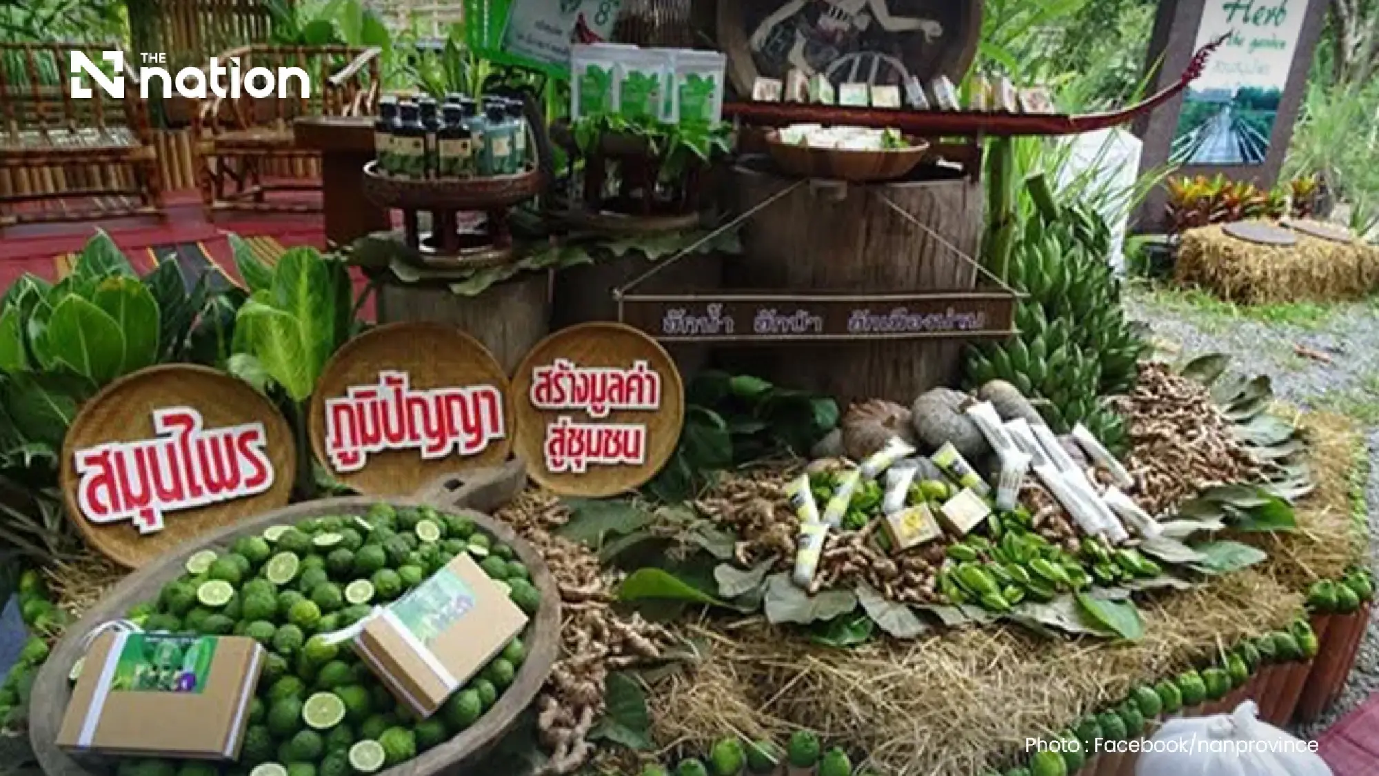 Thailand bets on wellness and longevity as new economic engine