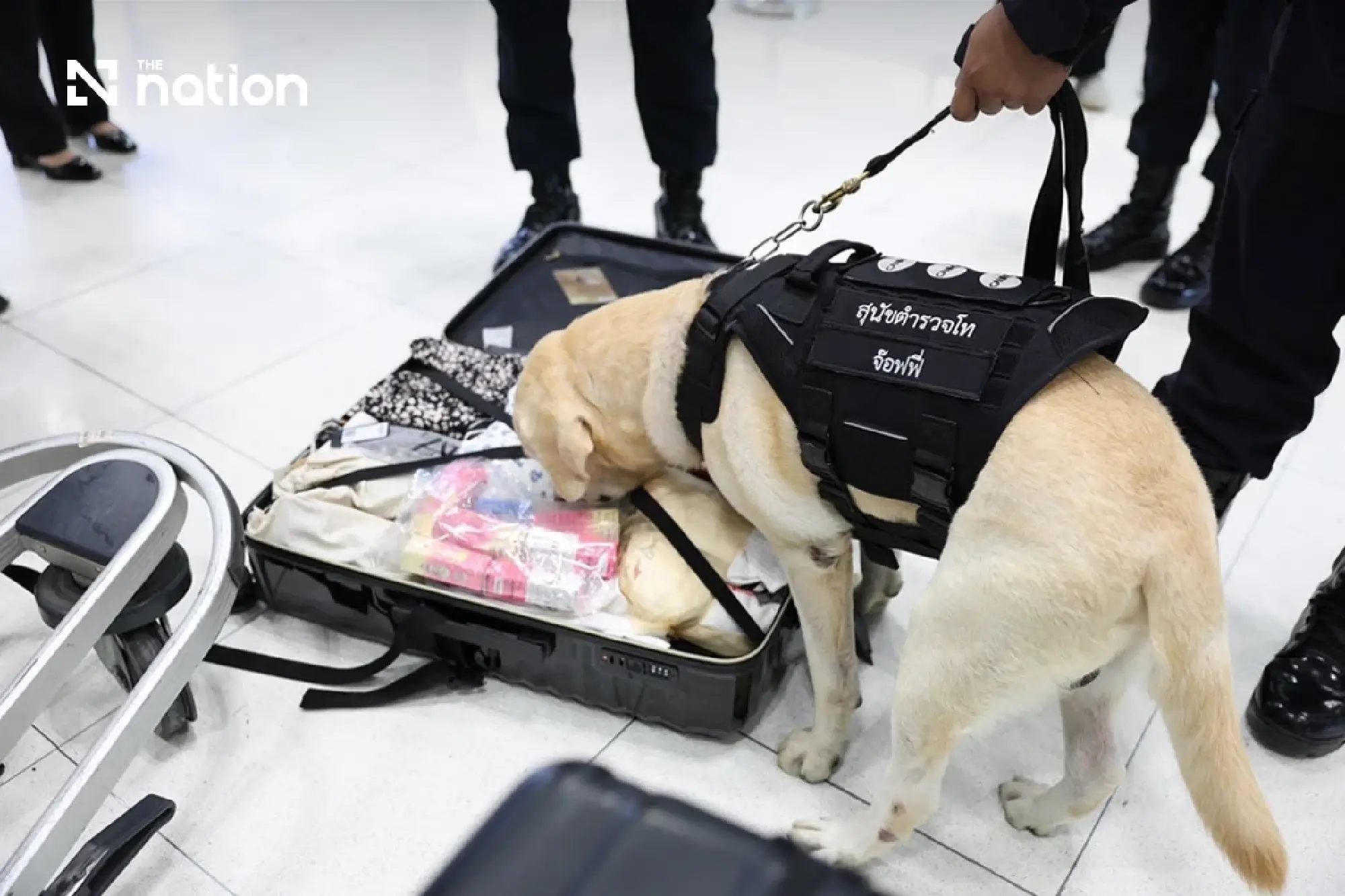 AOT deploys K-9 teams at Suvarnabhumi after Thai crew drug case in Australia
