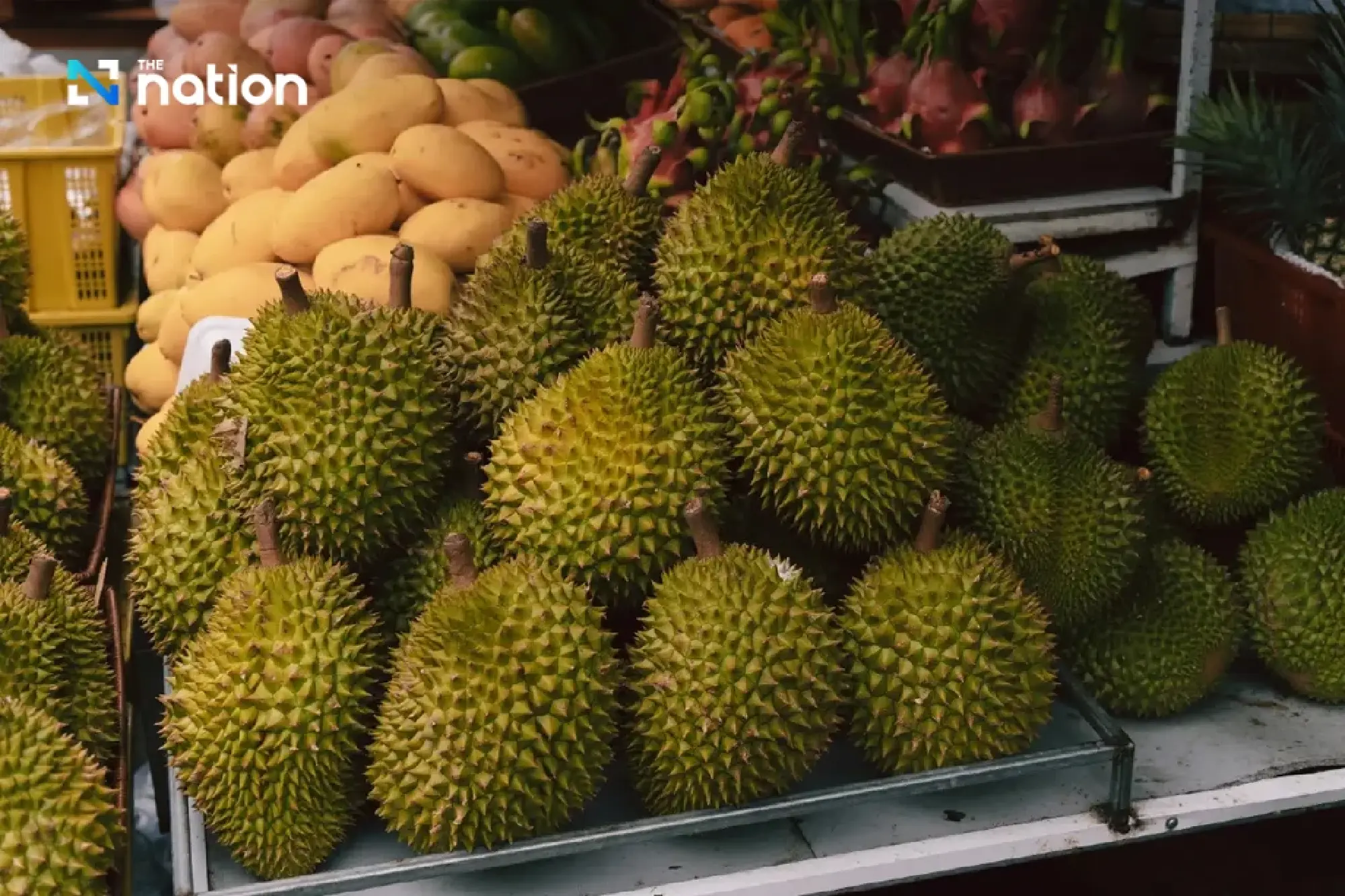 Malaysian durian glut drives Musang King retail prices sharply lower