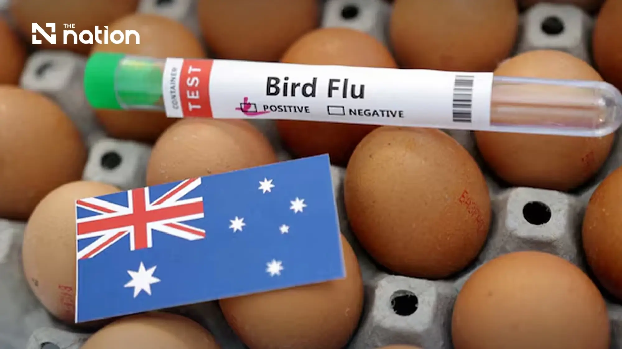 H5N1 bird flu spreads to the Philippines and Australia