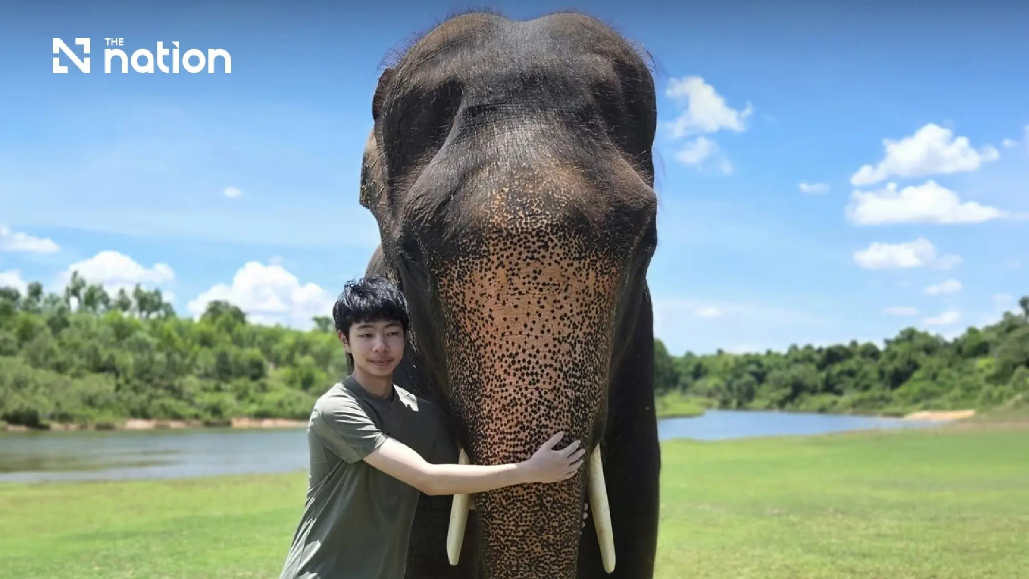 Saving Surin's Elephants, One Herbal Block at a Time