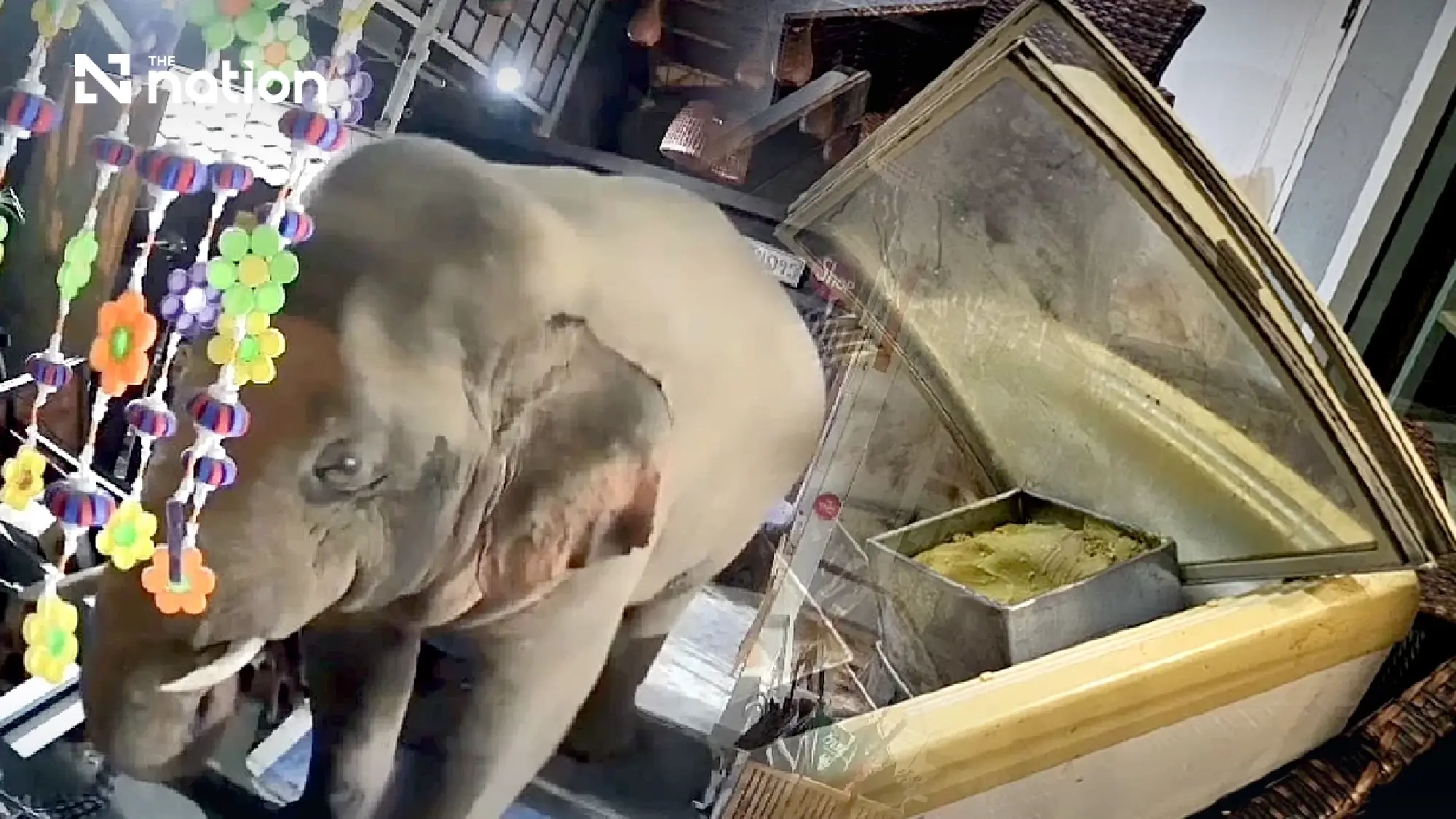 Wild elephant causes damage to restaurant near Khao Yai National Park