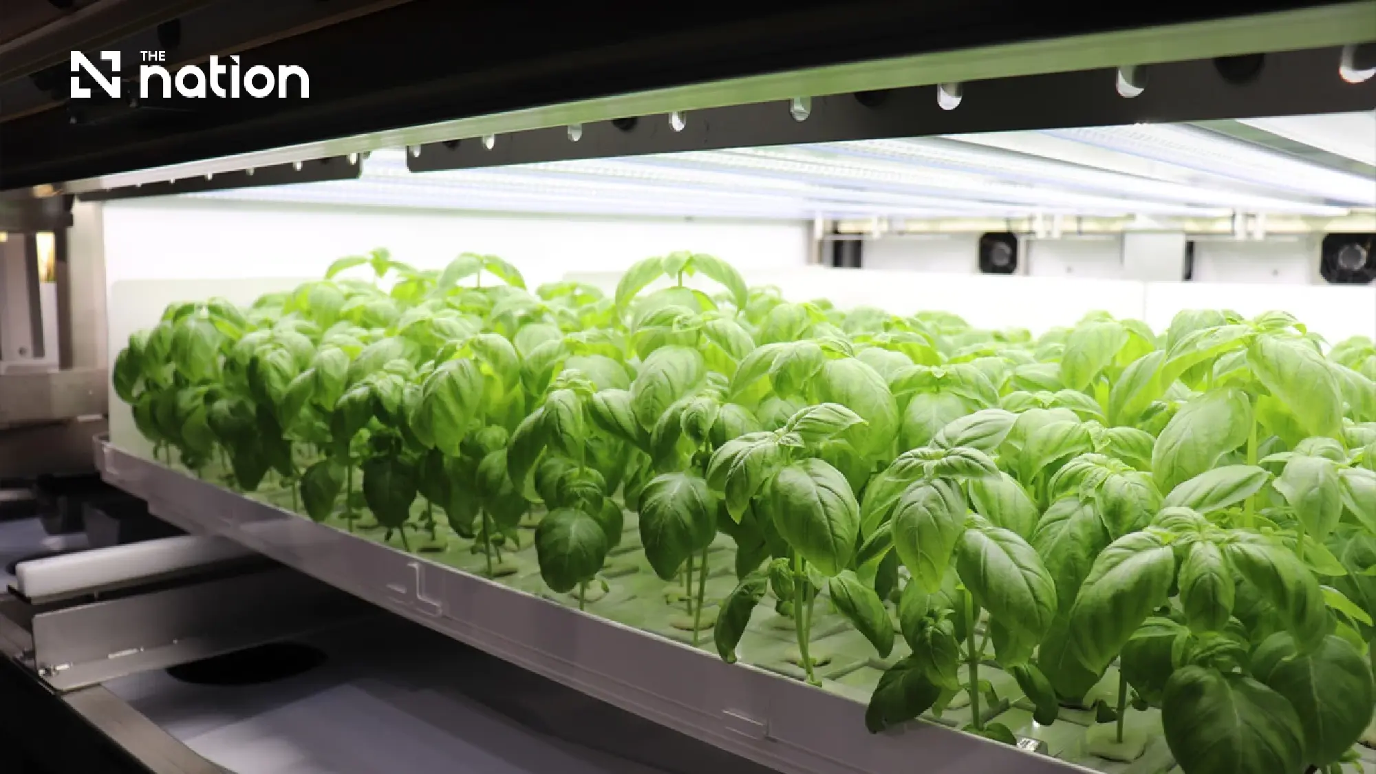 PLANTX unveils Tokyo pilot for modular plant factory technology
