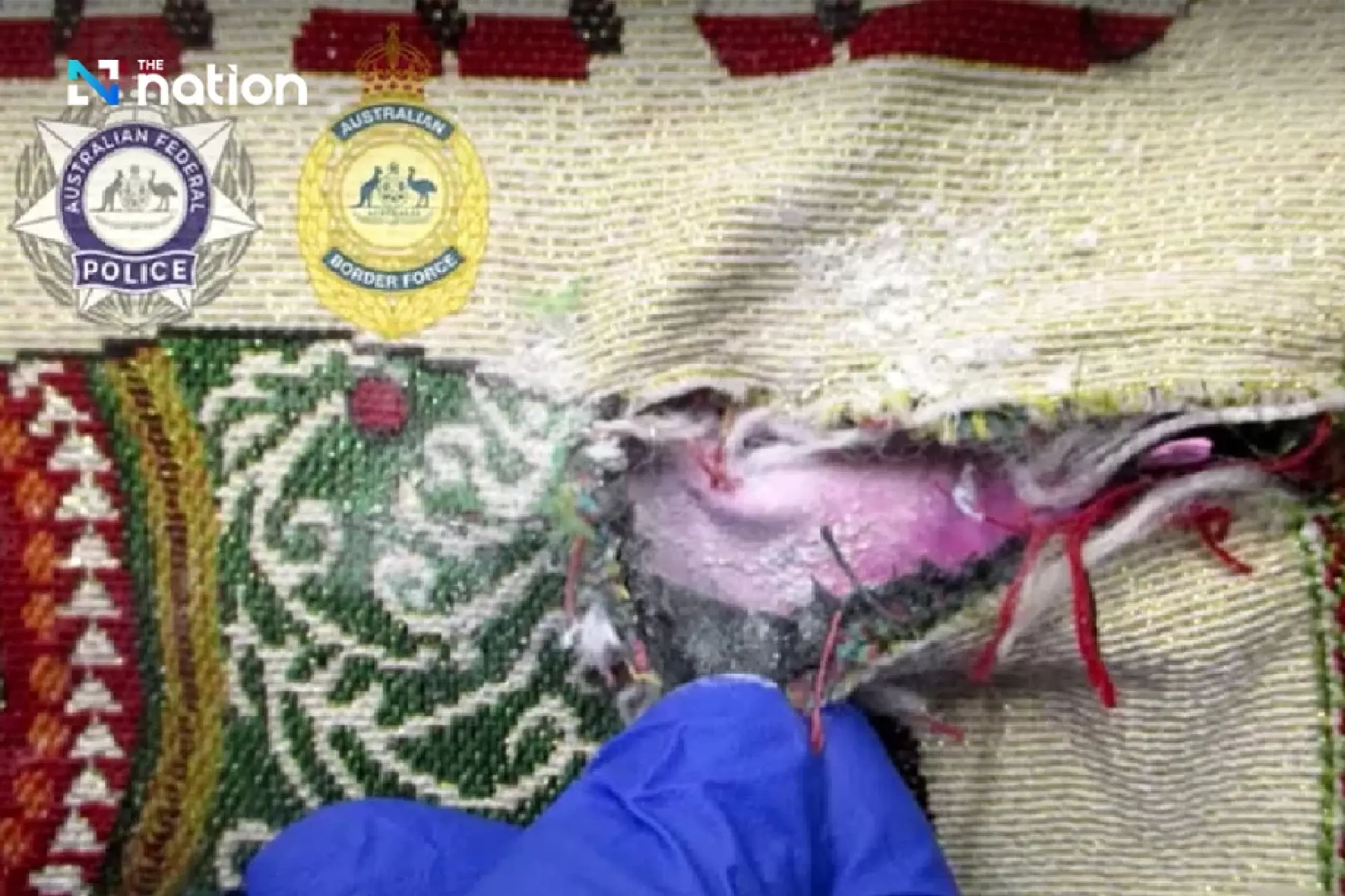 Anutin orders urgent drug crackdown meeting after Australia-linked smuggling cases