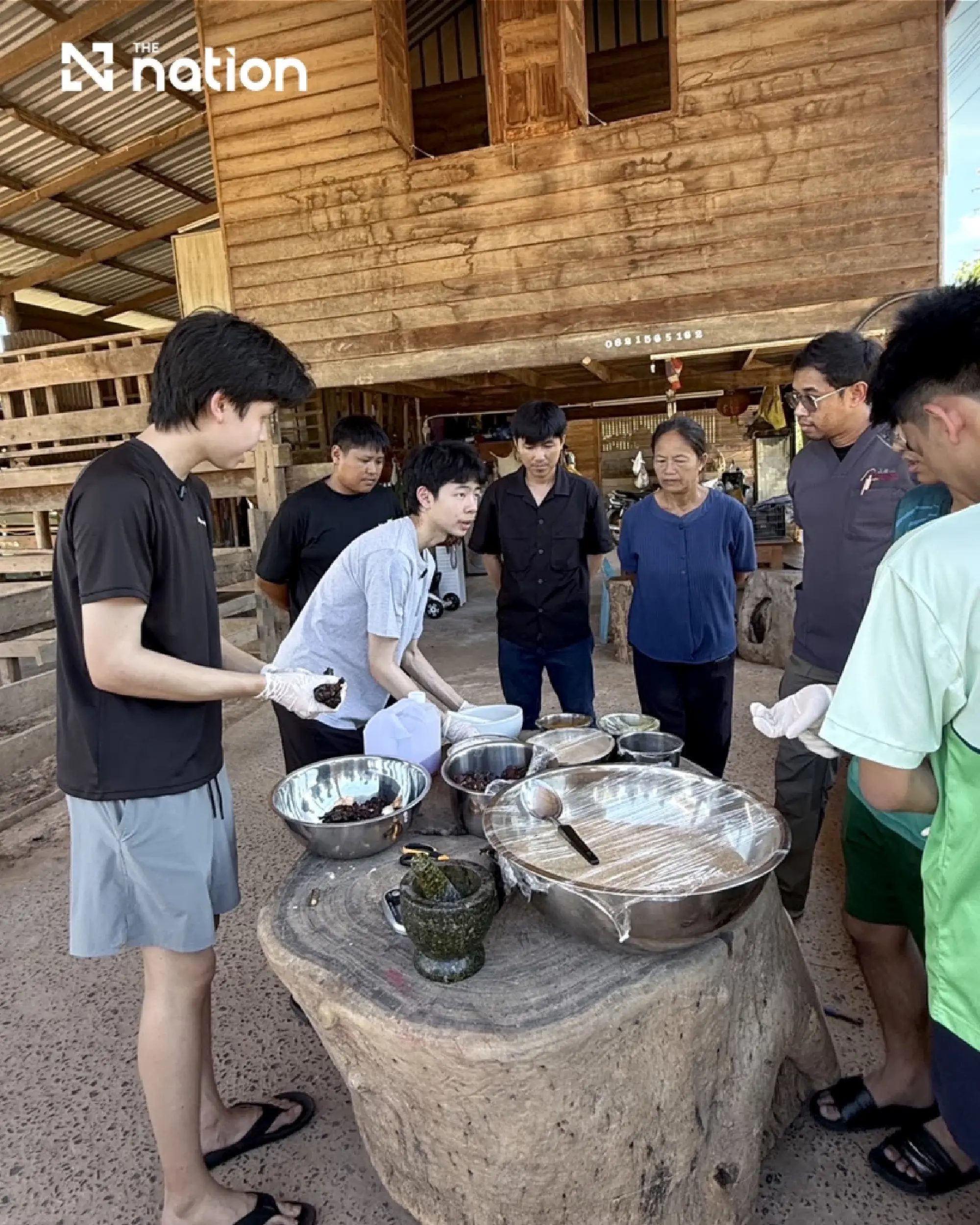Saving Surin's Elephants, One Herbal Block at a Time