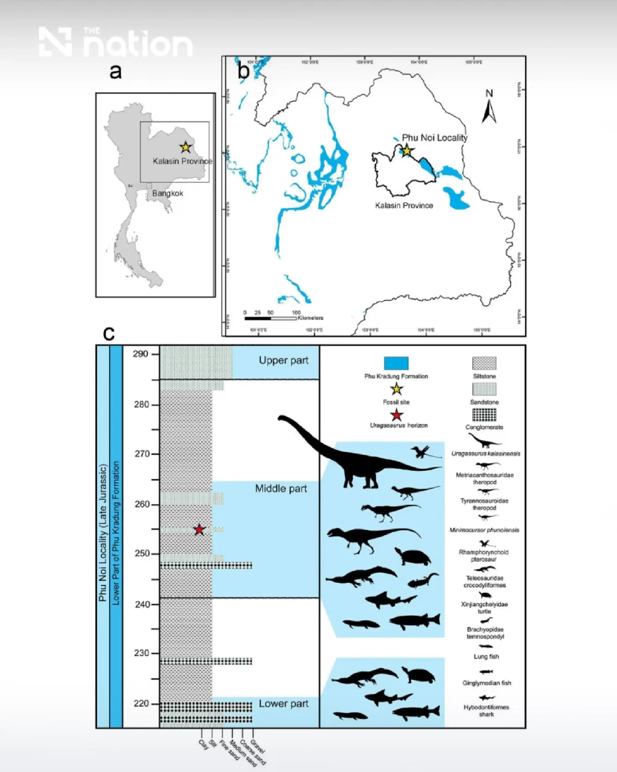 Thailand names new snake-necked dinosaur from Kalasin