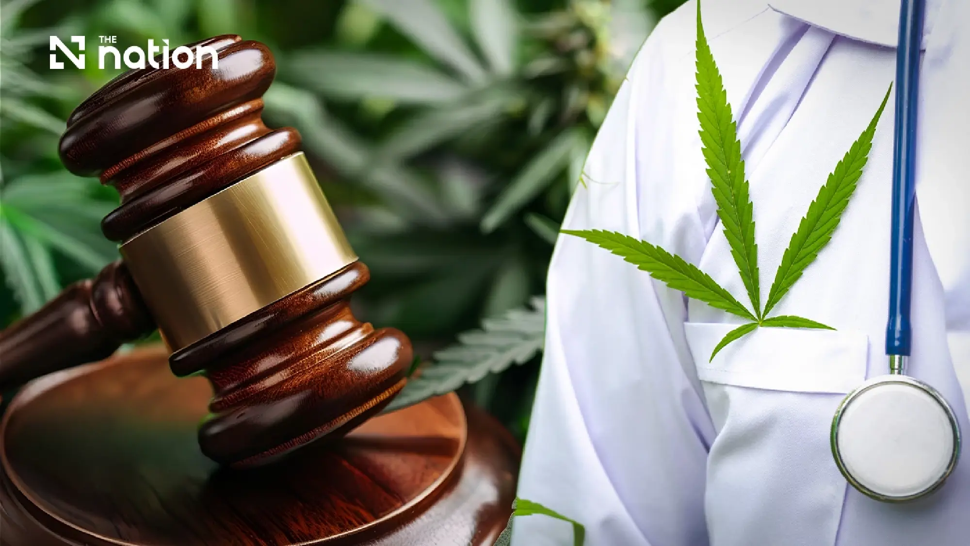 Thailand Set to Limit Cannabis Strictly to Medical Use