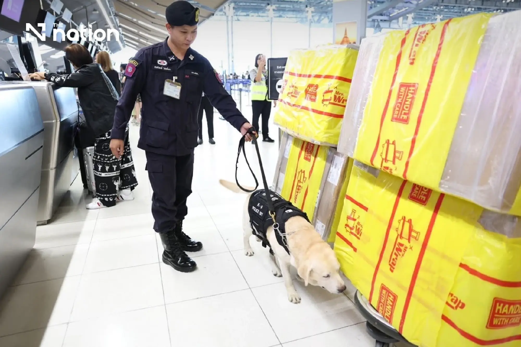AOT deploys K-9 teams at Suvarnabhumi after Thai crew drug case in Australia