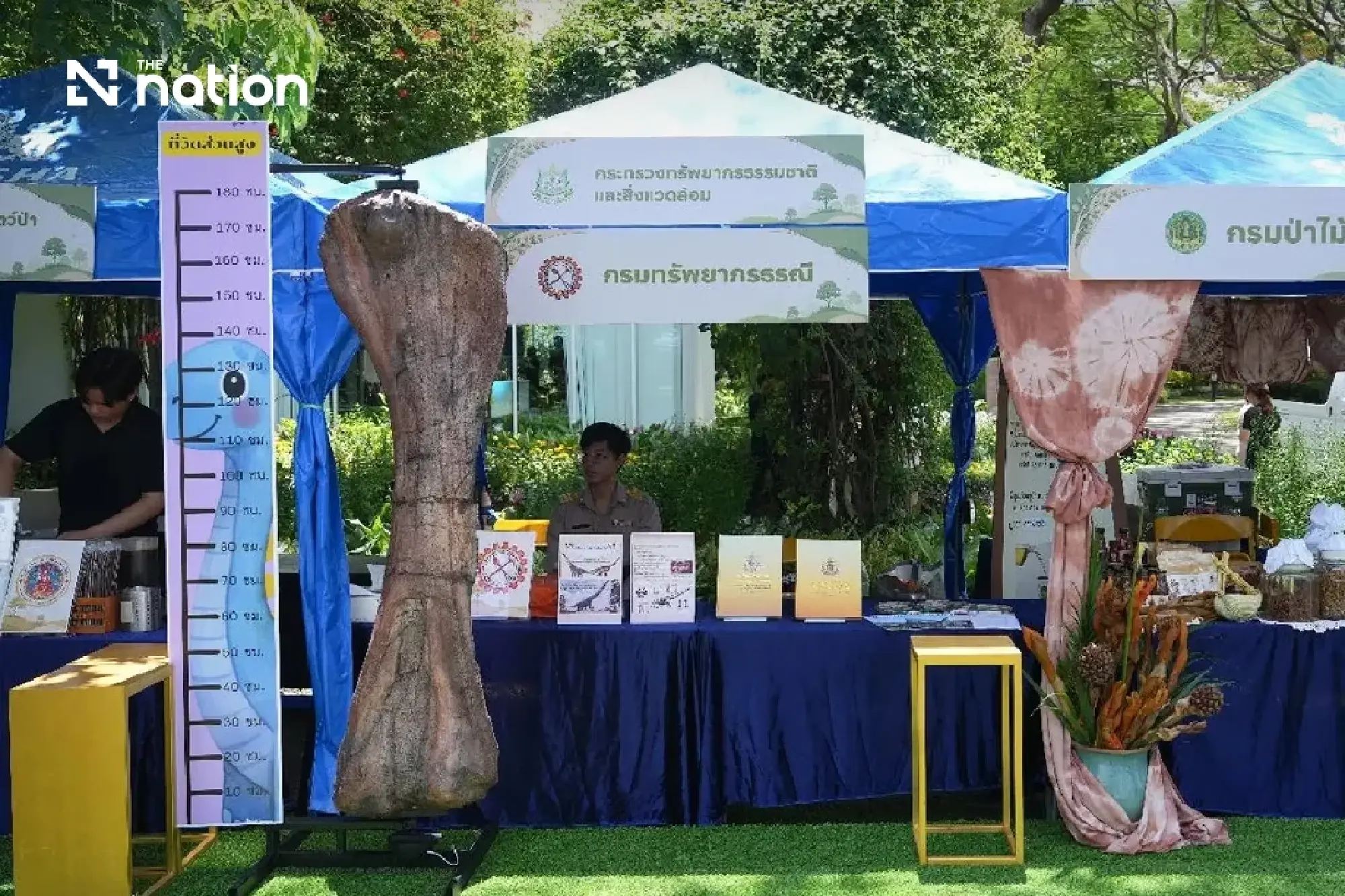 Bangkok Hosts Royal 'Colours of Flora' Fair to Mark Queen Mother's Legacy