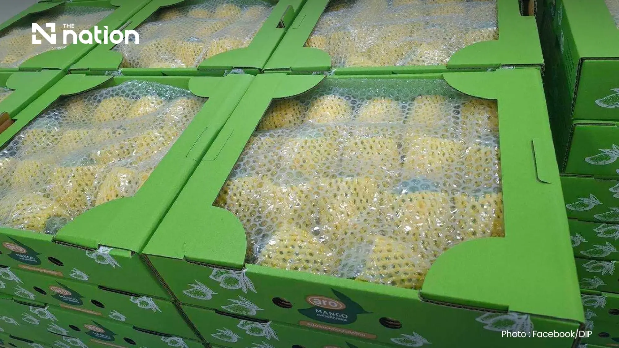 Thai Agricultural Heritage Protected as Ratchaburi Limes and Mangoes Secure GI Status