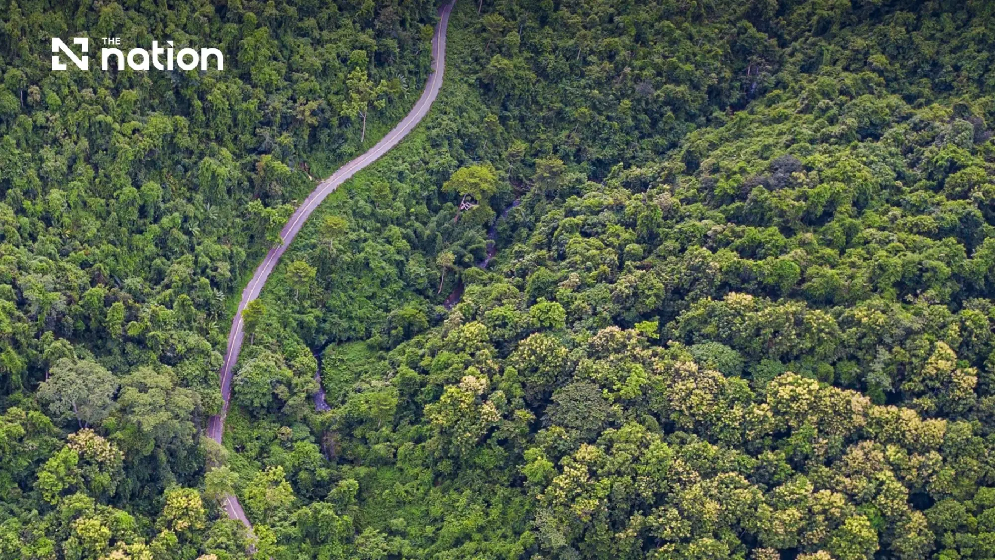 Nan floods refocus debate over forests and watershed management