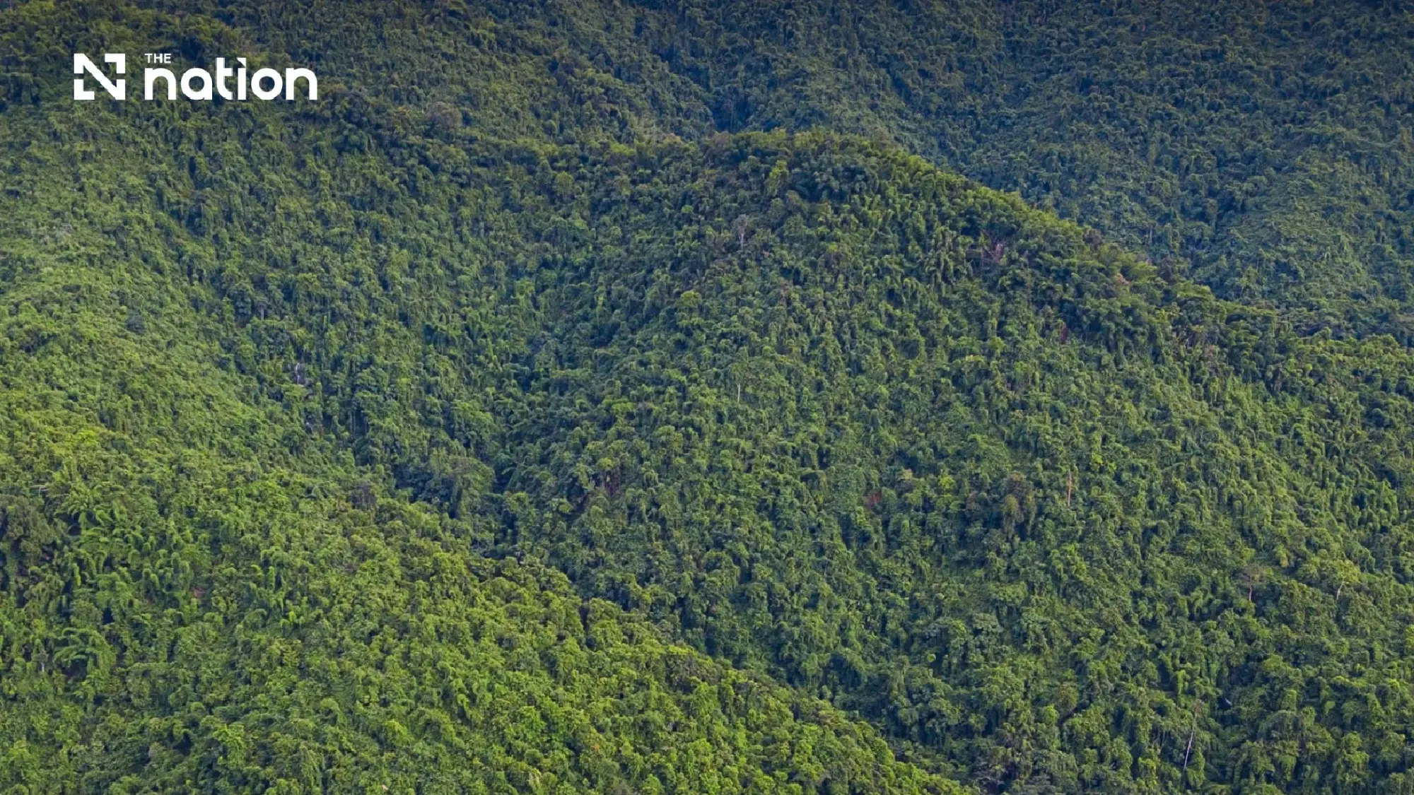 Nan floods refocus debate over forests and watershed management