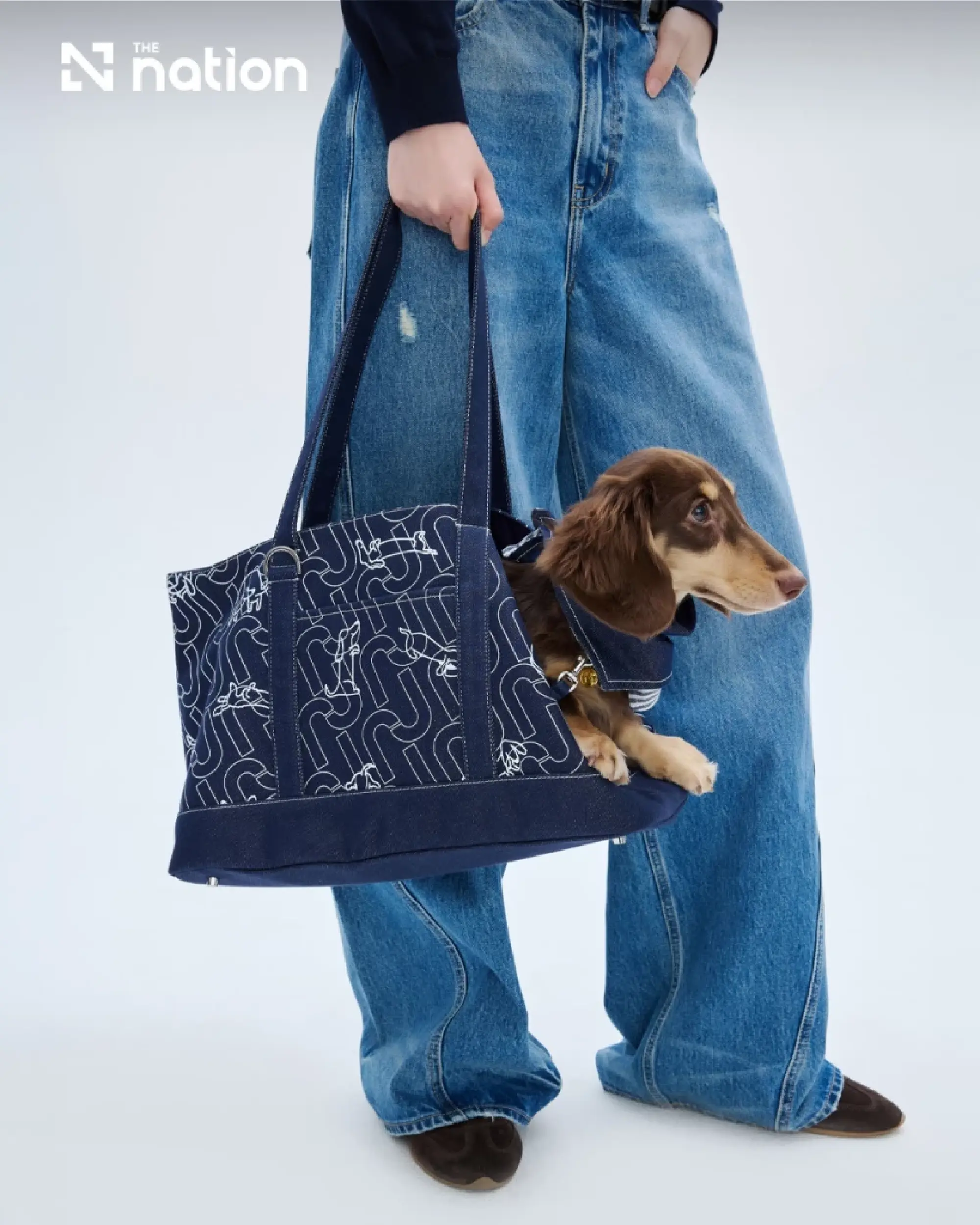 JASPAL unveils dachshund-inspired Paws & Play collection