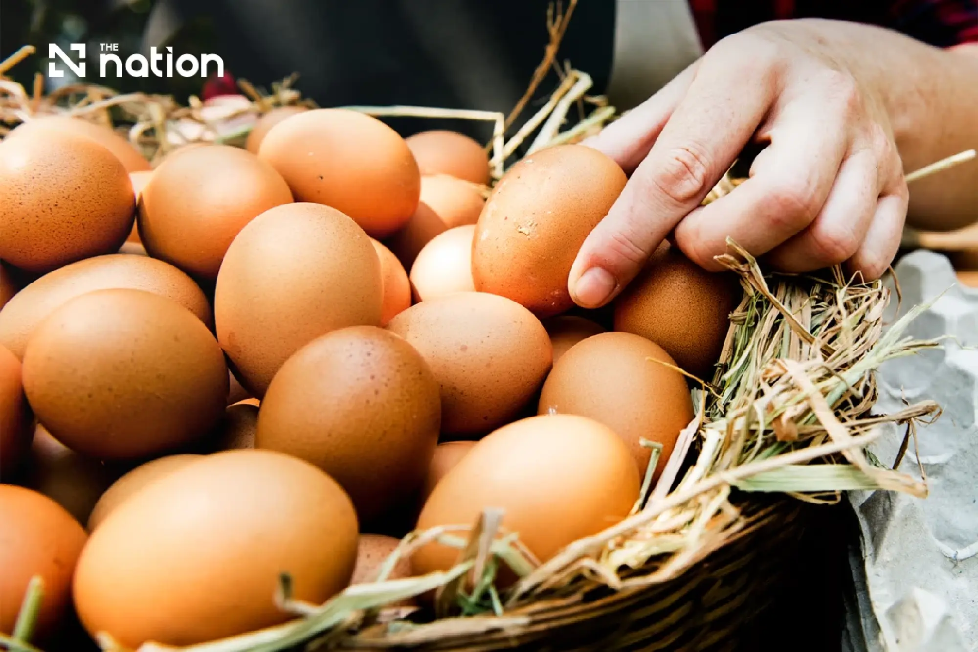 Asian Livestock Diverges as Thai Pork and Egg Prices Surge Past Peers