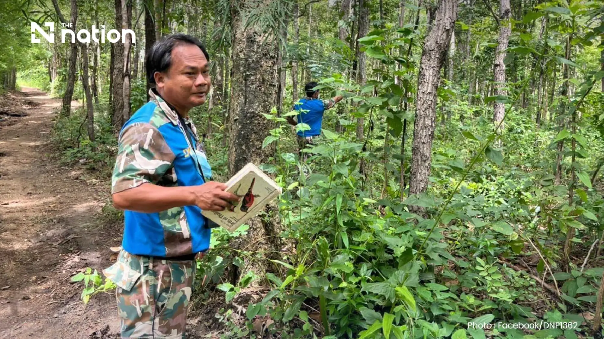 Tiger kills Huai Kha Khaeng ranger as safety review ordered