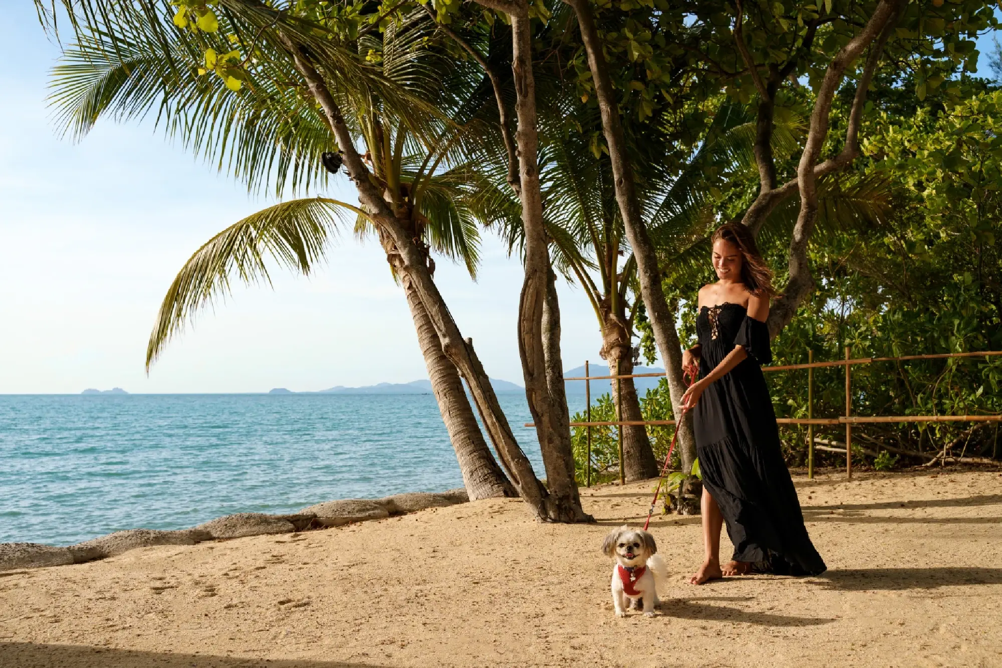 Marriott Bonvoy Elevates Pet-Friendly Travel Across Thailand