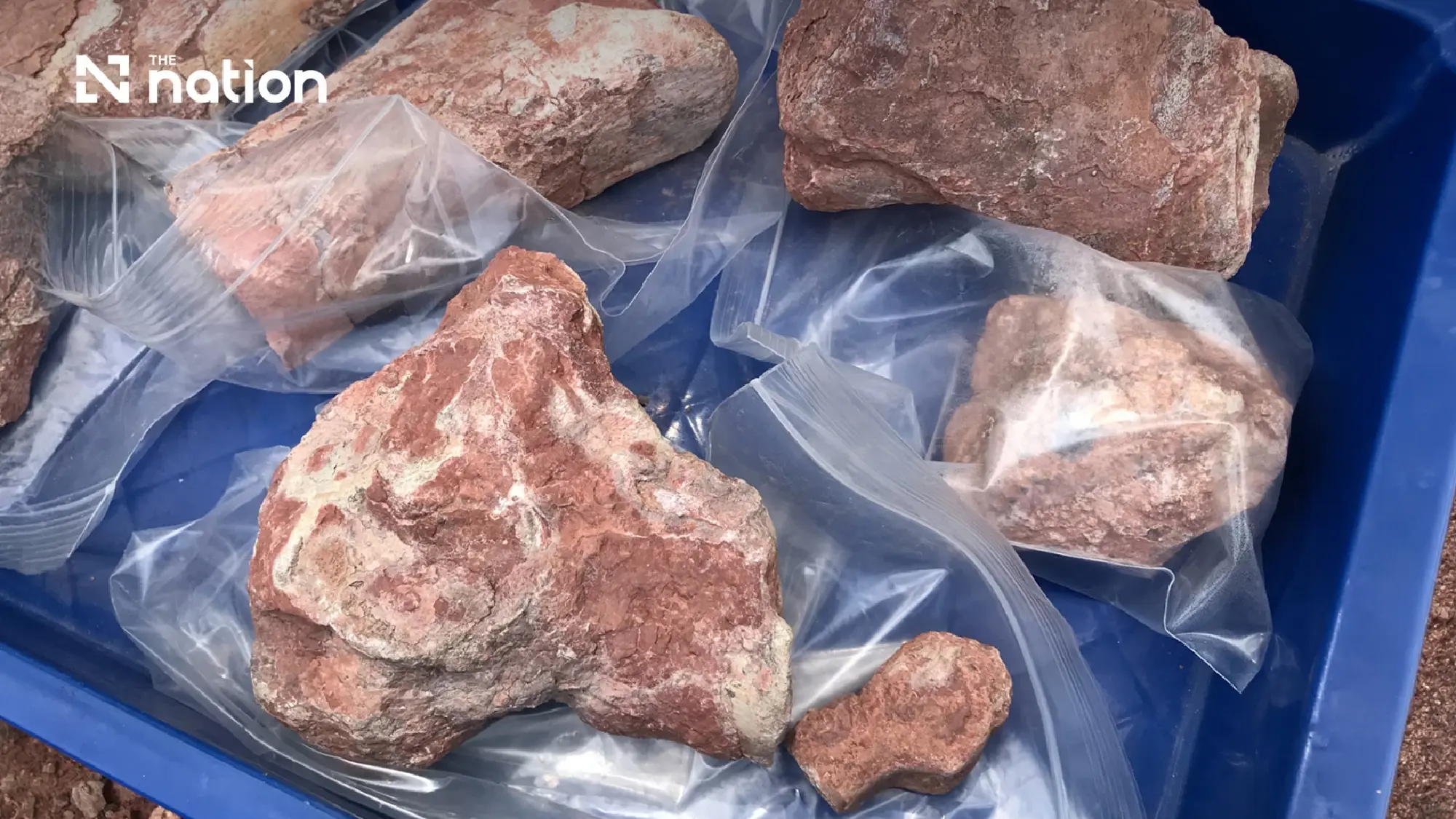 Chaiyaphum yields 130-million-year-old carnivore fossil