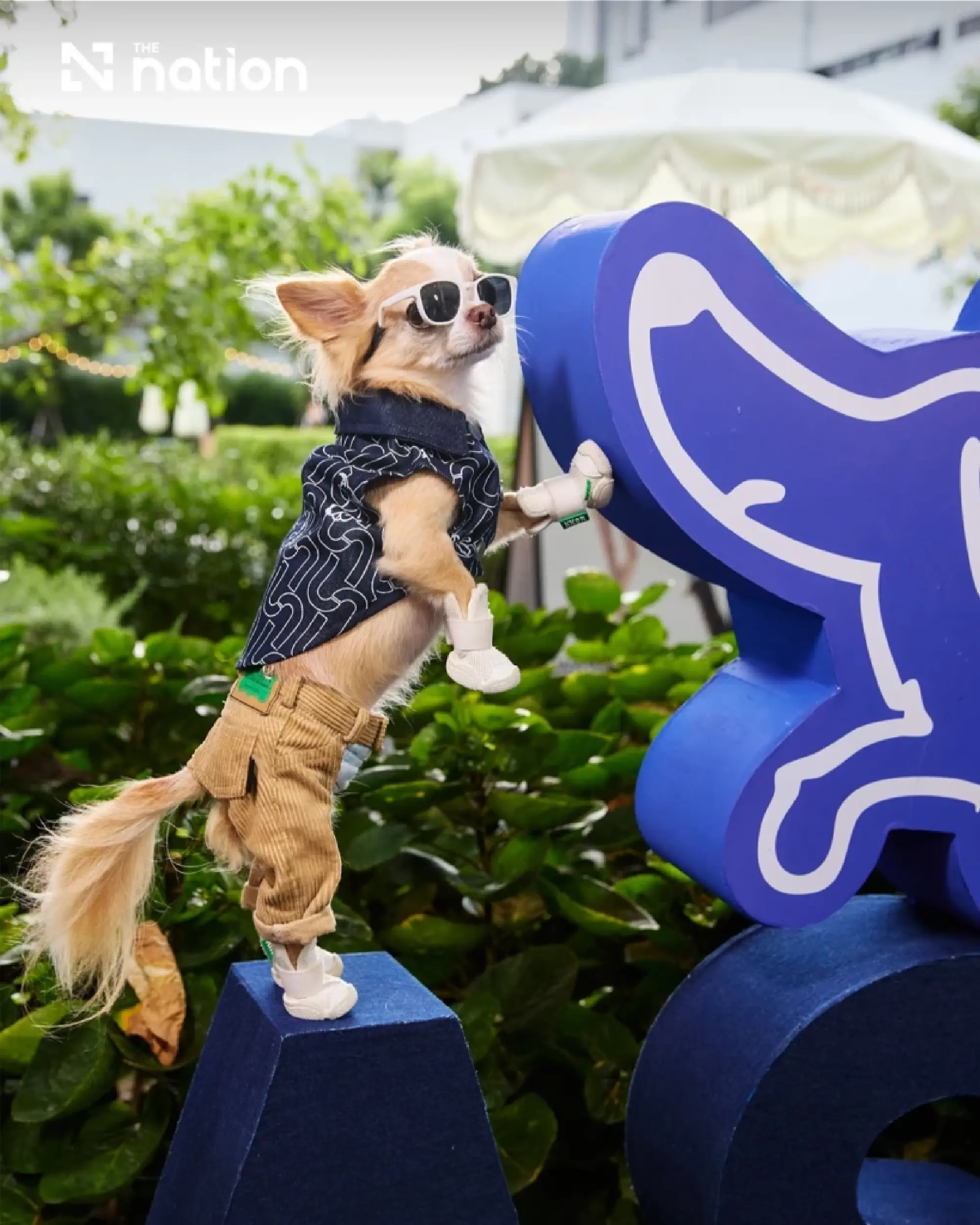 JASPAL unveils dachshund-inspired Paws & Play collection