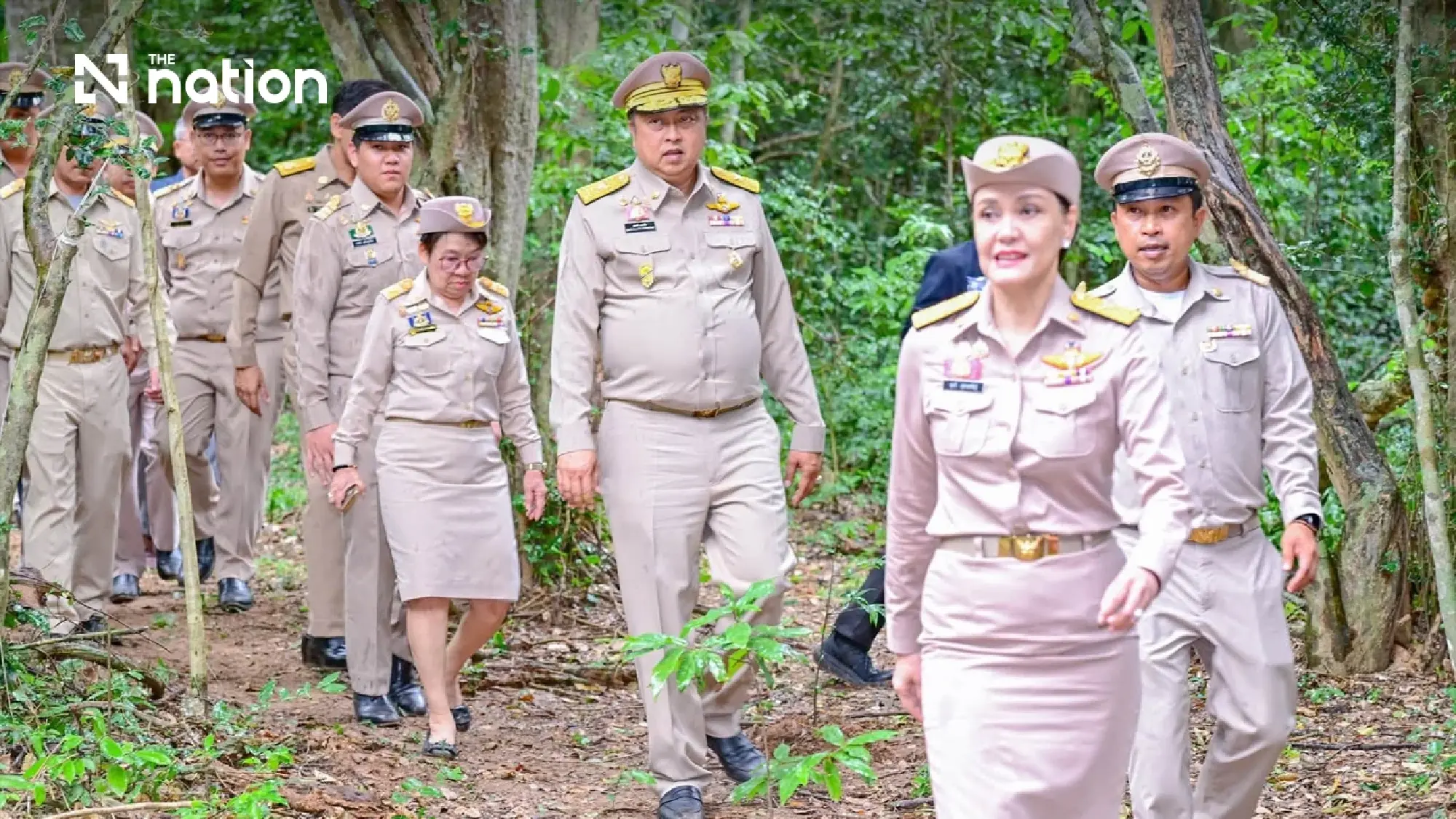 Twenty dead-standing sandalwood trees chosen for royal rites