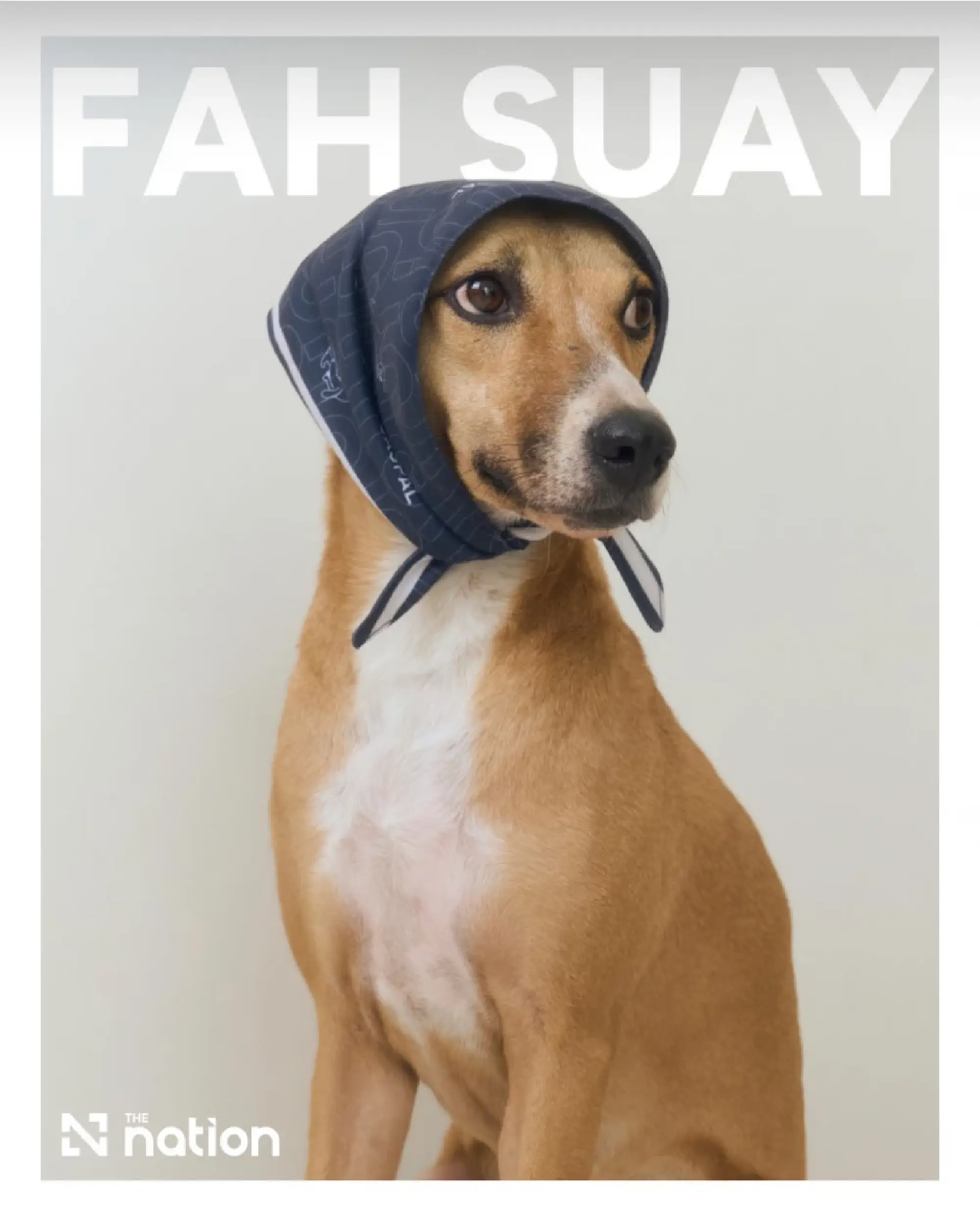 JASPAL unveils dachshund-inspired Paws & Play collection