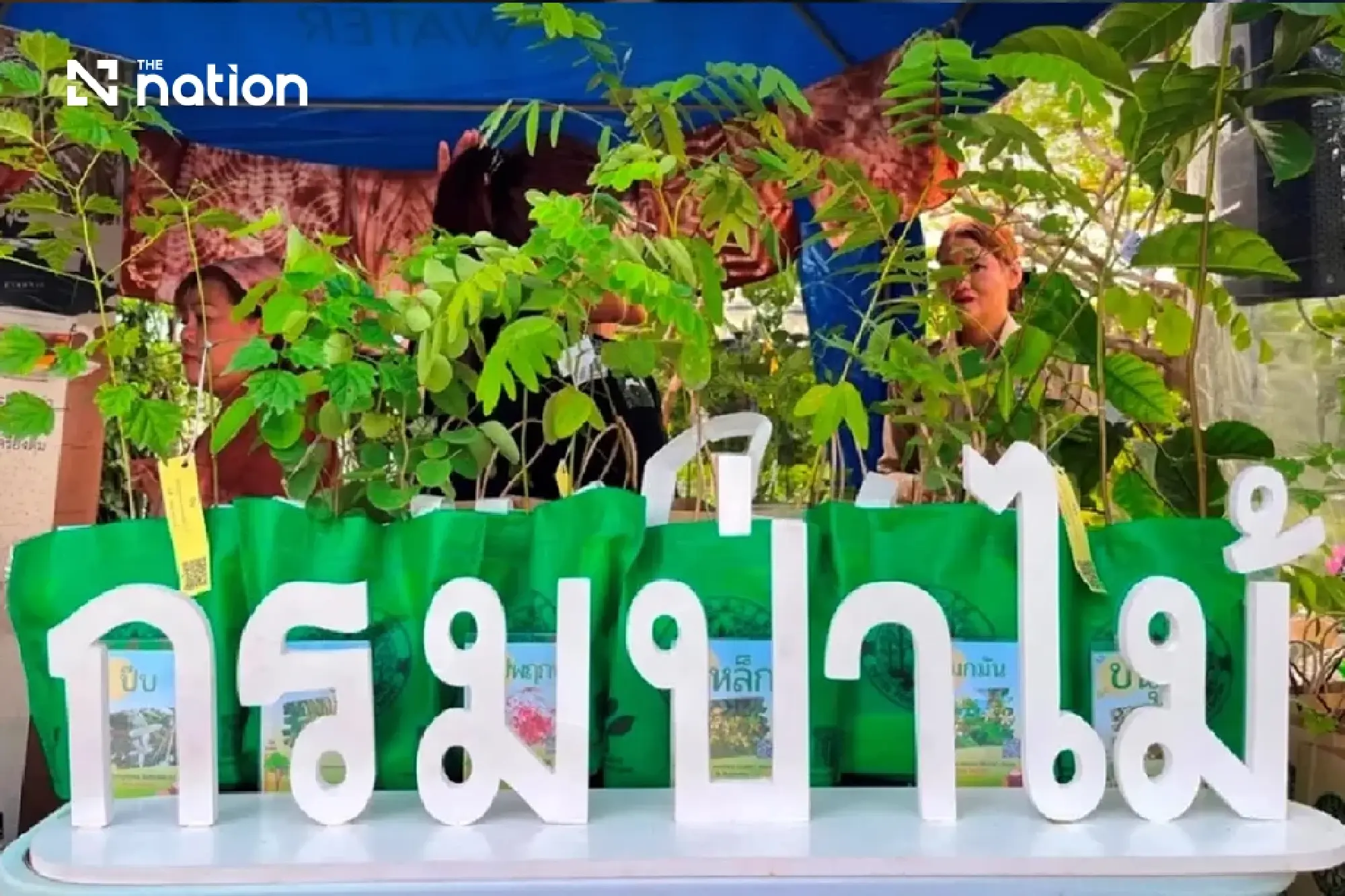 Bangkok Hosts Royal 'Colours of Flora' Fair to Mark Queen Mother's Legacy