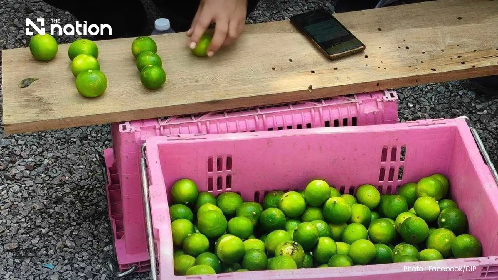 Thai Agricultural Heritage Protected as Ratchaburi Limes and Mangoes Secure GI Status