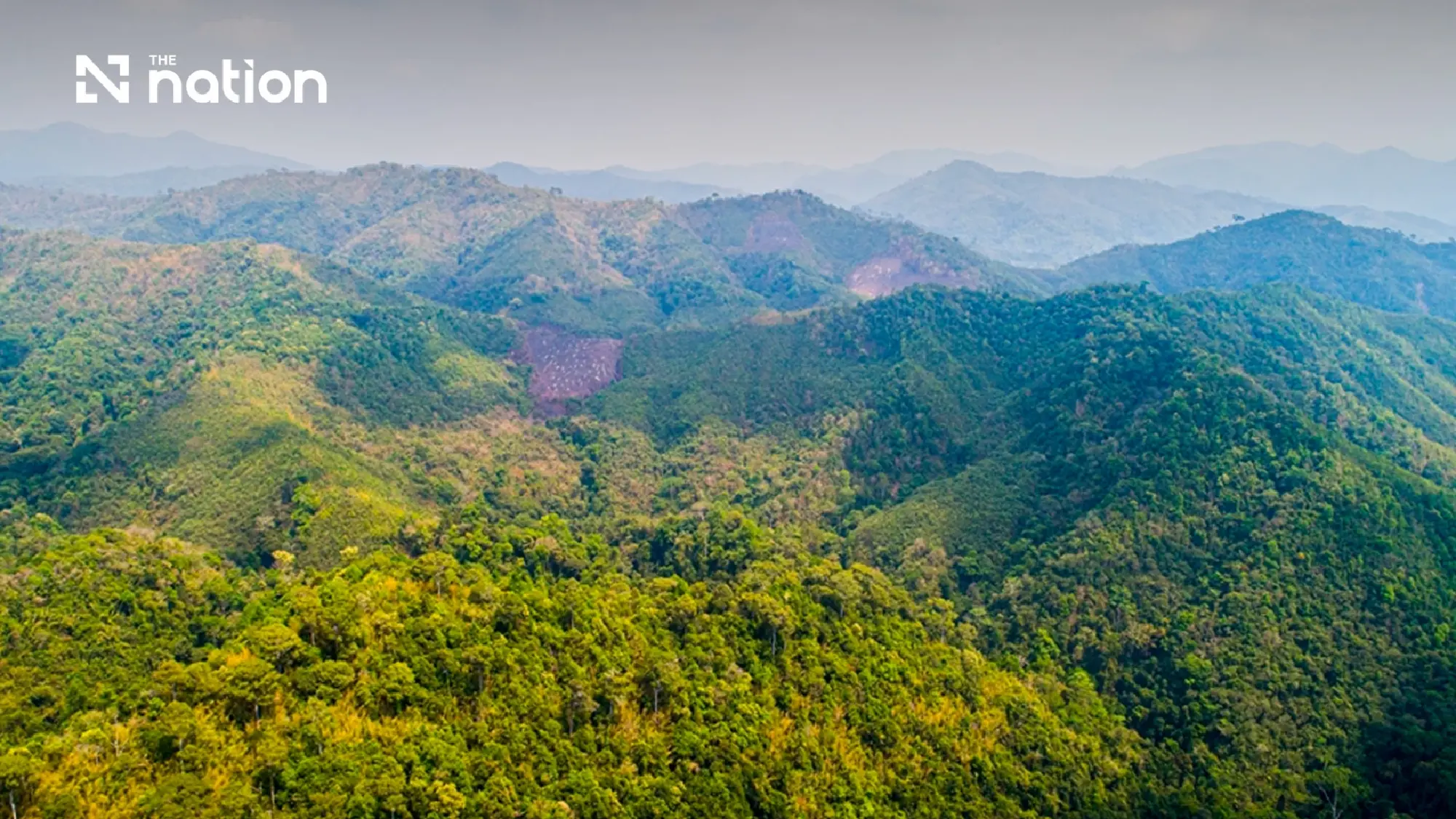 Nan floods refocus debate over forests and watershed management