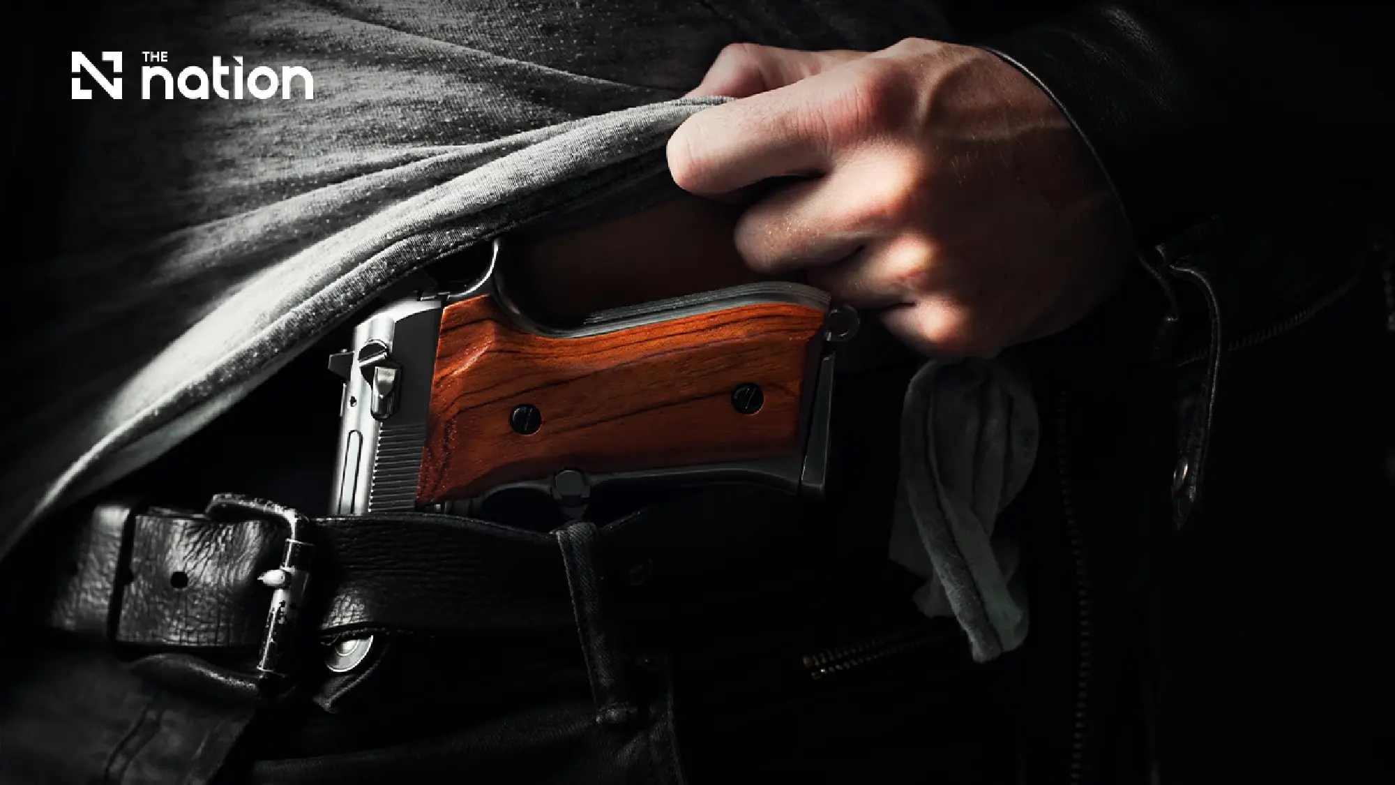 Welfare gun loopholes face scrutiny over transfers to new owners