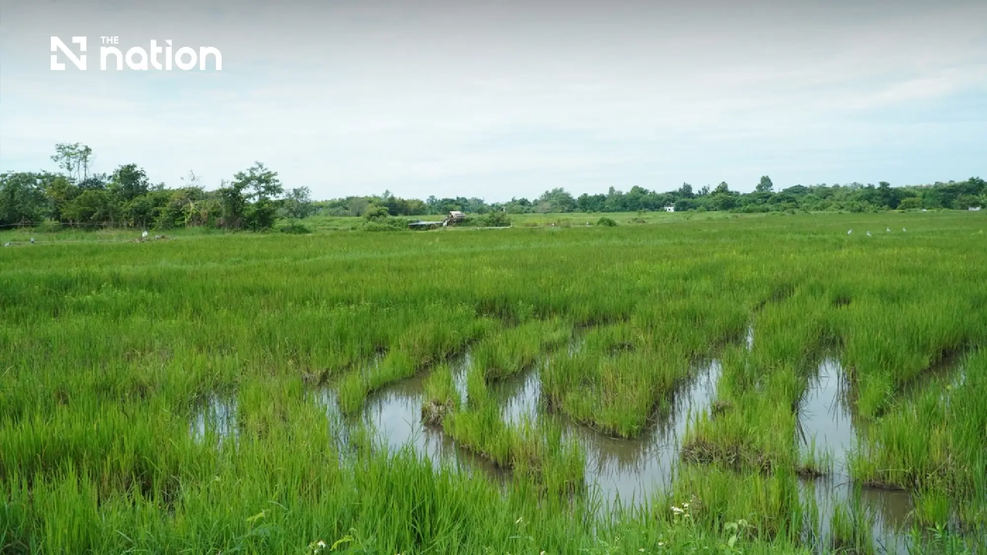 Royal water project lifts farming and livelihoods in Chiang Mai