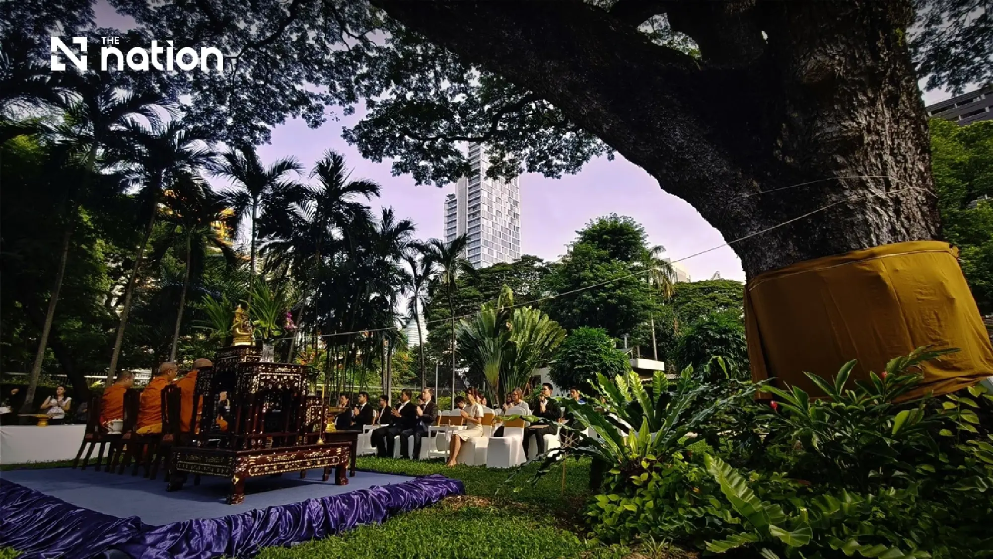 How does a tree play role in Thailand-US diplomacy
