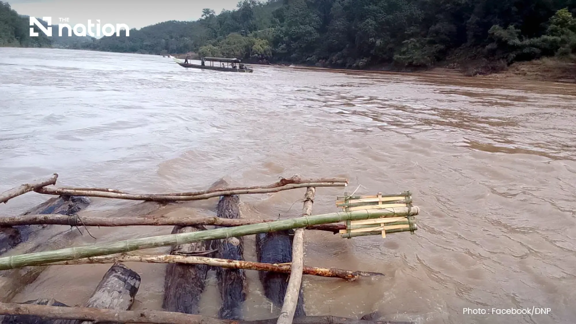 Thailand probes suspected timber ring after teak seizure