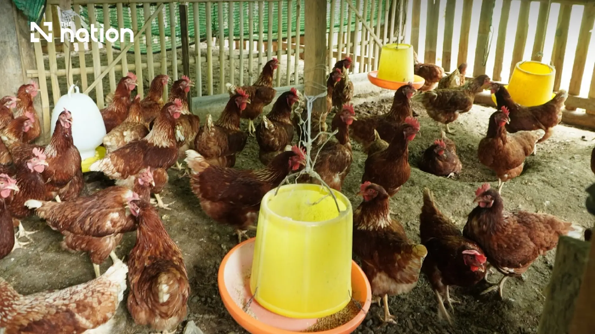 Royal water project lifts farming and livelihoods in Chiang Mai